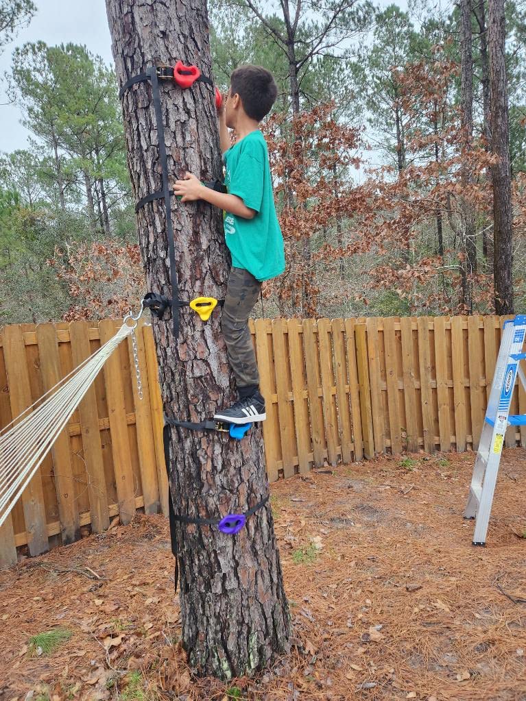 TOPNEW 12 Ninja Tree Climbing Holds for Kids Climber, Adult Climbing Rocks with 6 Ratchet Straps for Outdoor Ninja Warrior Obstacle Course Training customer photo 2