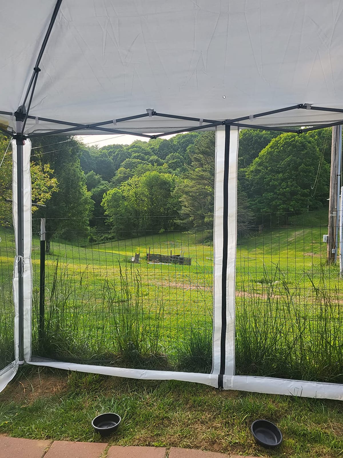 Outsunny 10' x 10' Pop Up Canopy Tent with Netting Carry Bag Beige | Instant Gazebo, Screen House Room, Height Adjustable, Outdoor, Garden, Patio, Camping customer photo 2