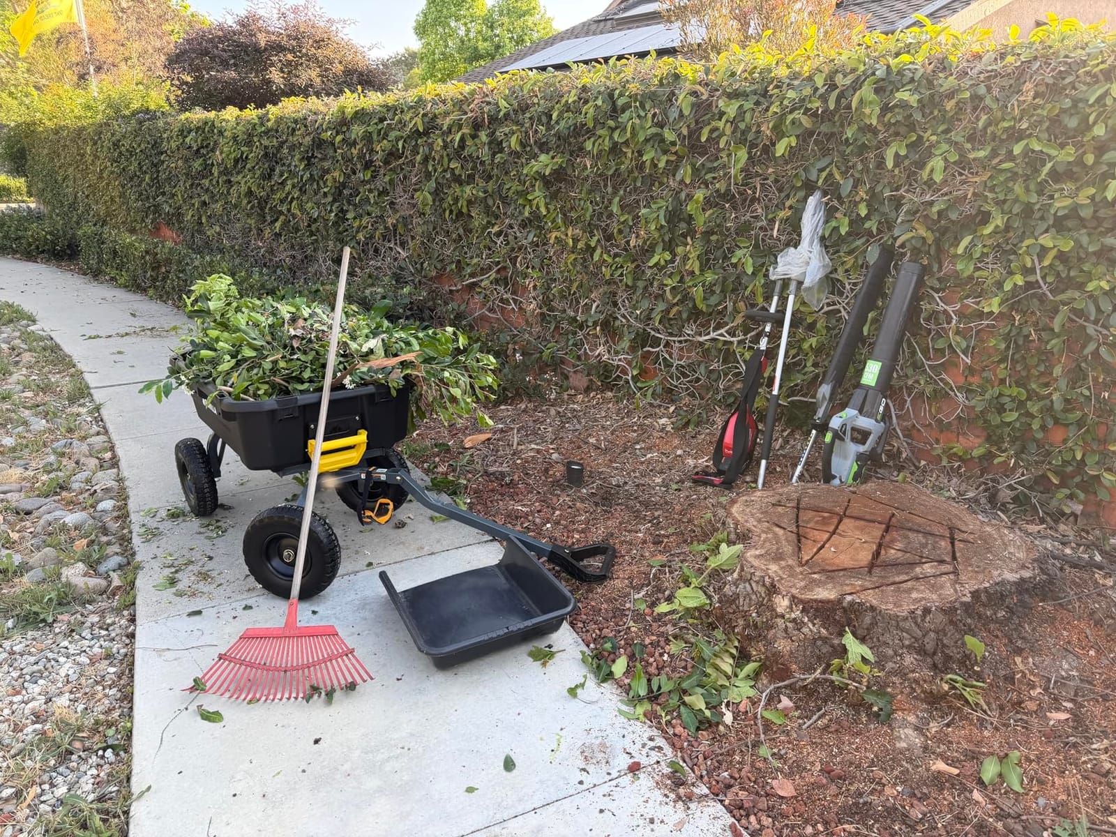 Gorilla Carts Dump Garden Cart, 7 Cu Ft, 1200 lb Capacity, No-Flat Tires | Poly dump cart with flat-free tires for landscapers hauling mulch, soil and gravel without ever worrying about a flat. customer photo 1