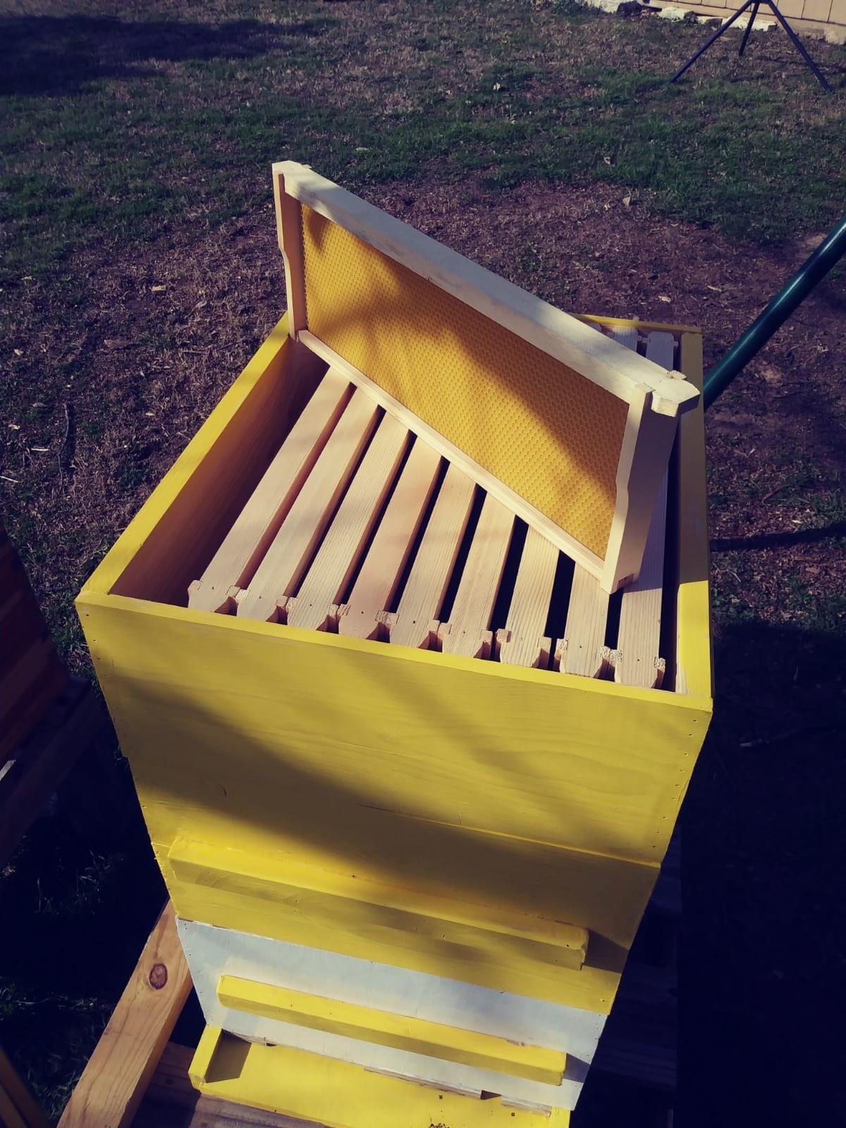 BeeCastle 10-Pack Beehive Bee Frames Waxed Foundation with Complete Unassembled Commercial Frames, 6-1/4-Inch (Yellow) customer photo 2