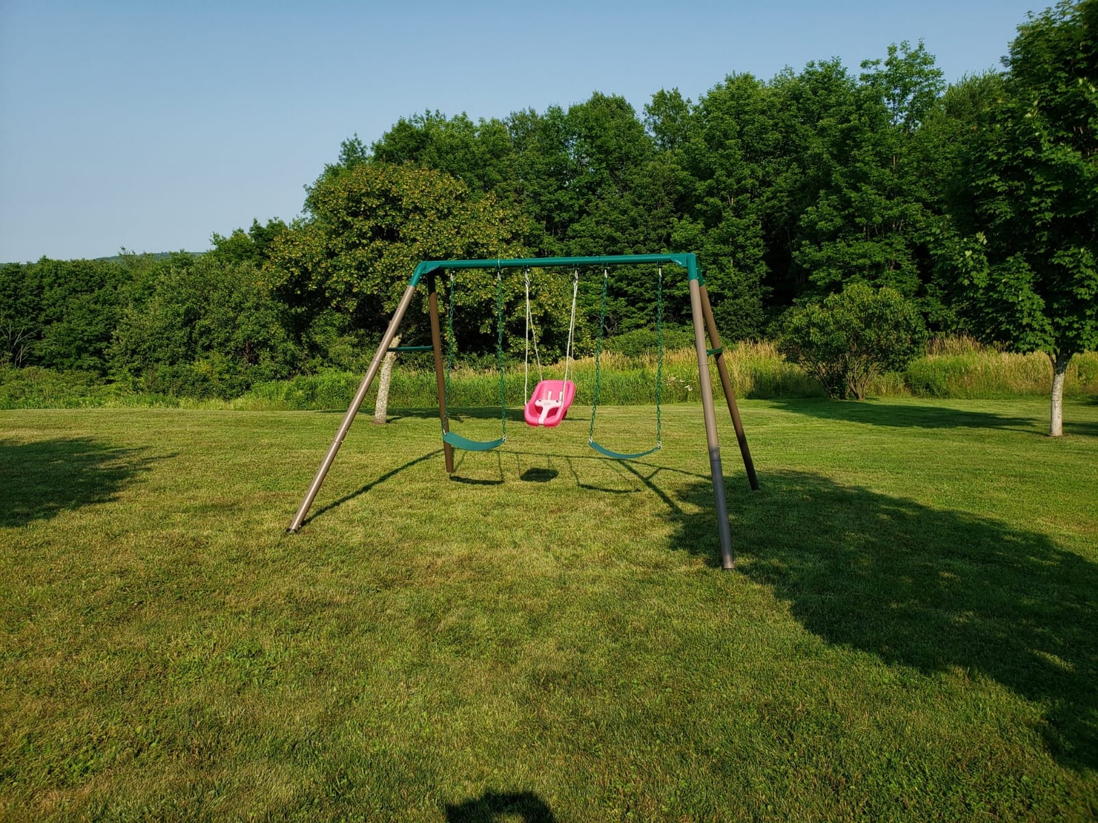 Lifetime Metal Swing Set - Heavy Duty Outdoor Playset for Kids customer photo 1