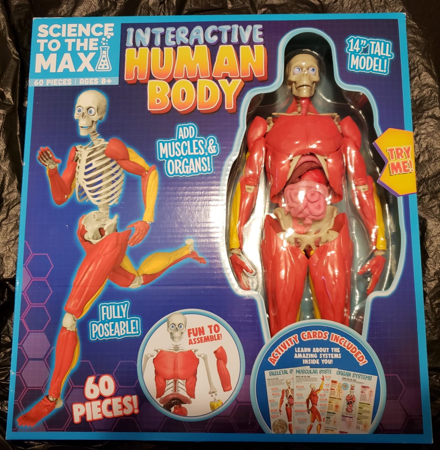 Be Amazing! Toys Interactive Human Body Anatomy Figure, 60 Pieces, Ages 8+ | Fully Poseable, 14