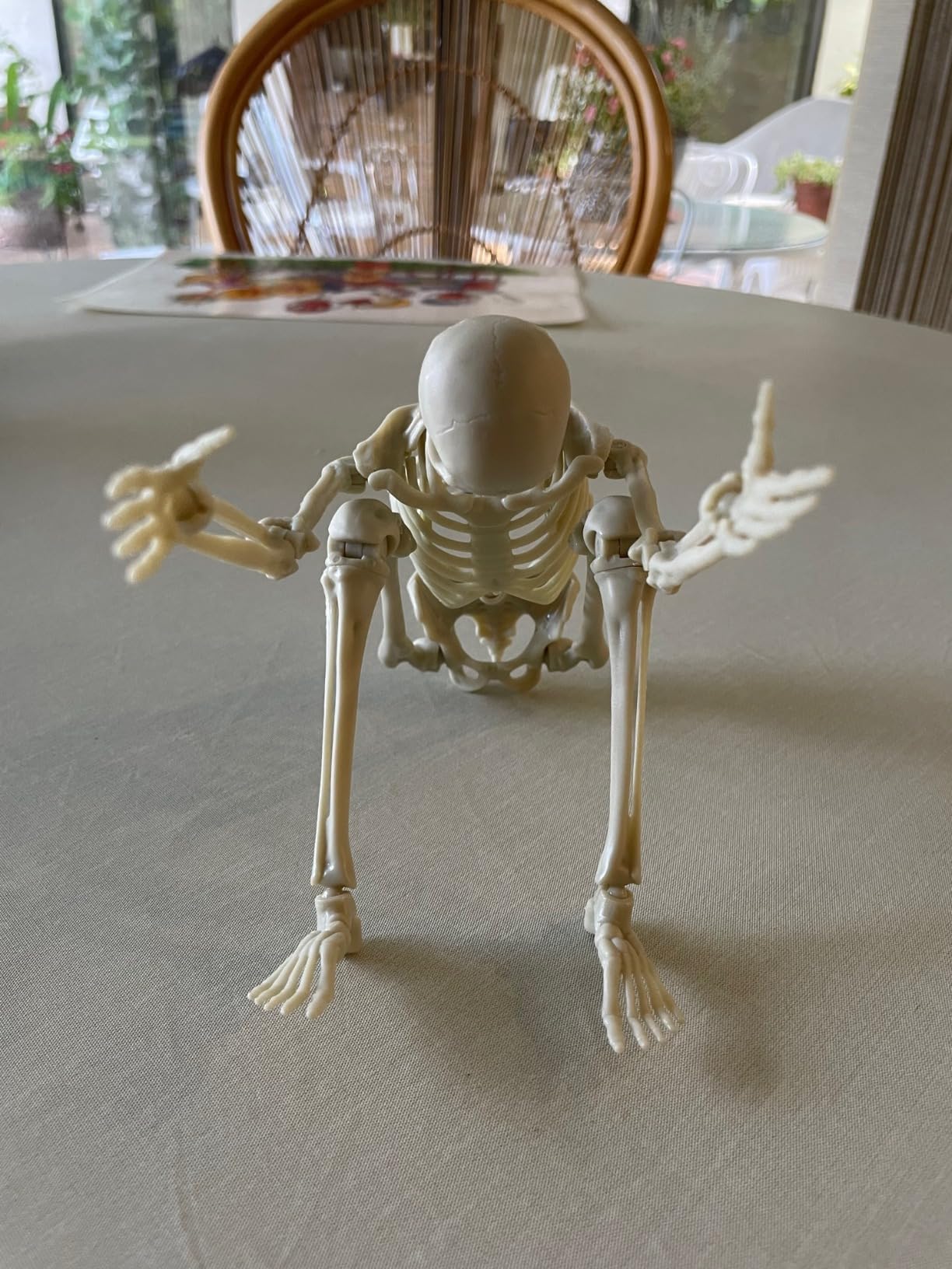 Be Amazing! Toys Interactive Human Body Anatomy Figure, 60 Pieces, Ages 8+ | Fully Poseable, 14