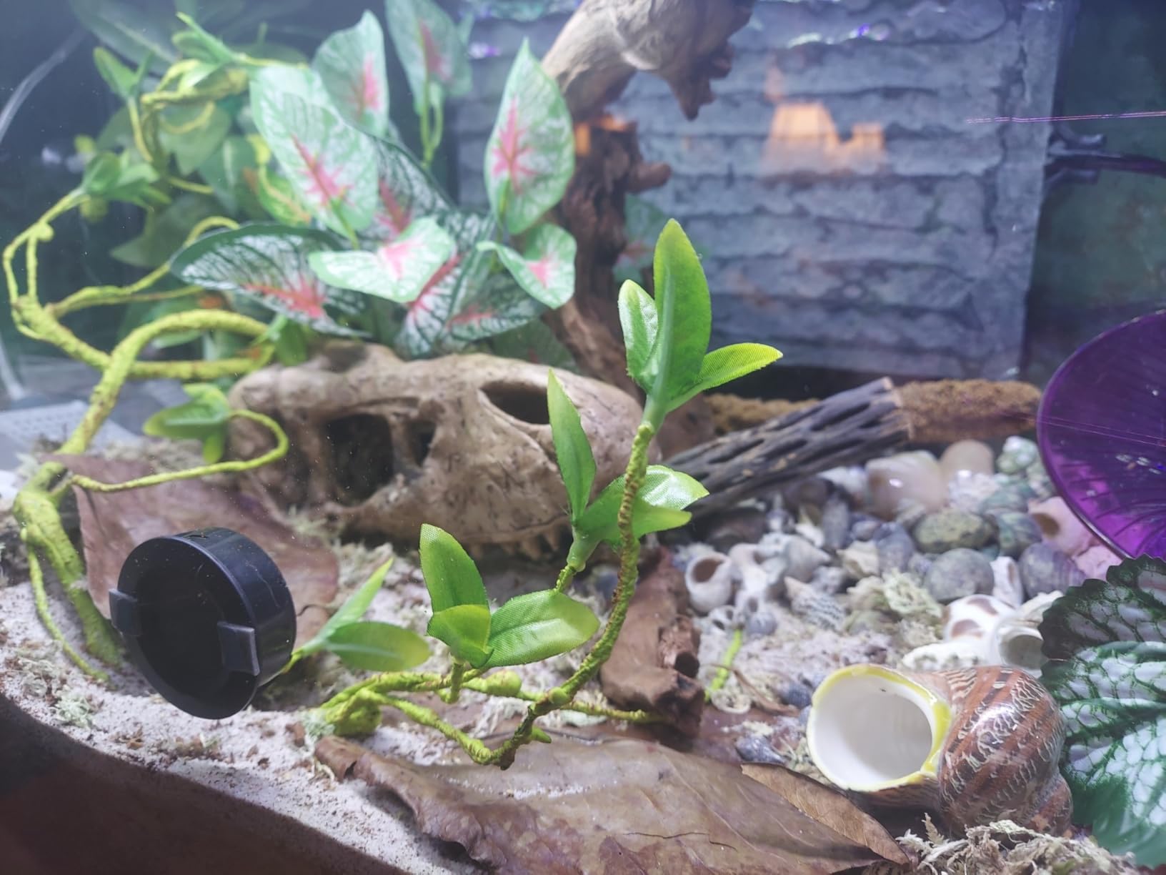 Tetra Glass Aquarium 55 Gallons, Rectangular Fish Tank (NV52018) customer photo 2