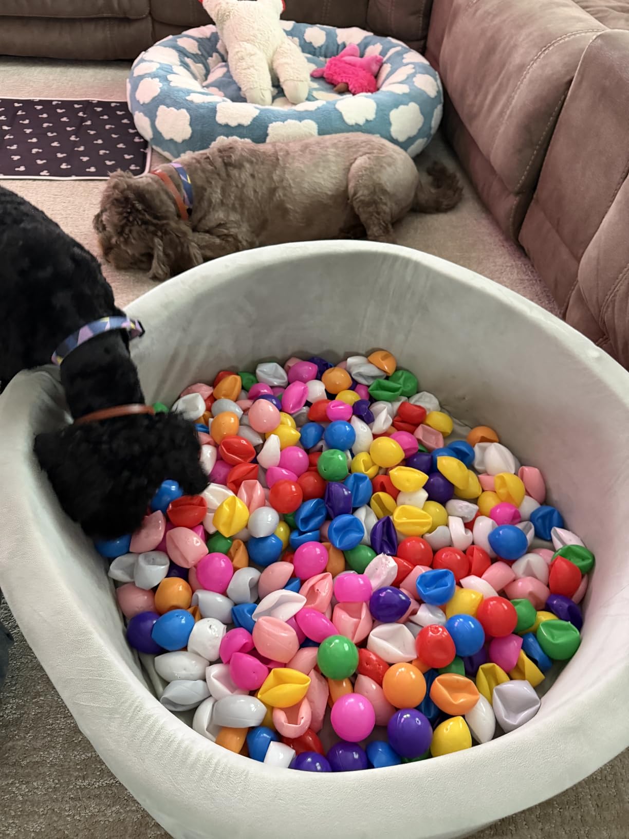 Hovenlay Ball Pit Balls Phthalate Free BPA Free Crush Proof Plastic - 7 Bright Colors in Reusable Play Toys for Kids with Storage Bag | Phthalate Free, BPA Free, Crush Proof Play Toys, Reusable Storage Bag customer photo 1