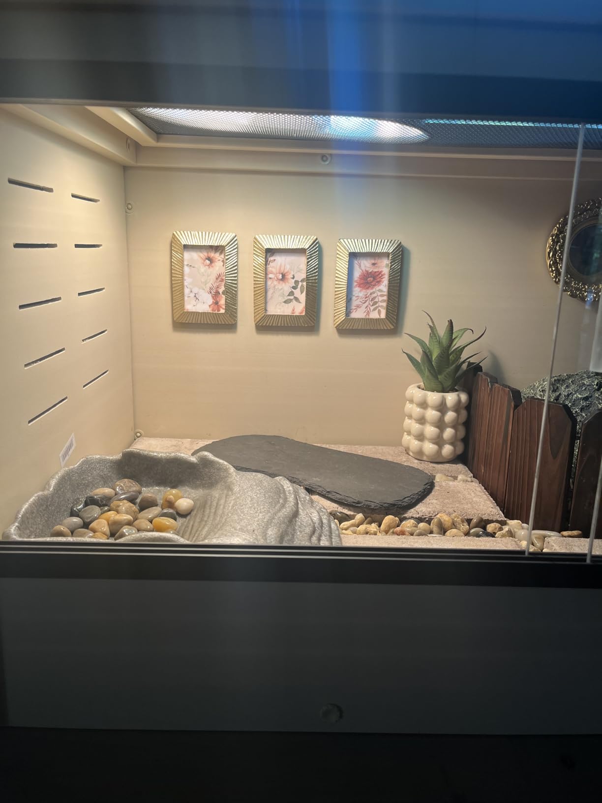 New Age Pet ECOFLEX 24