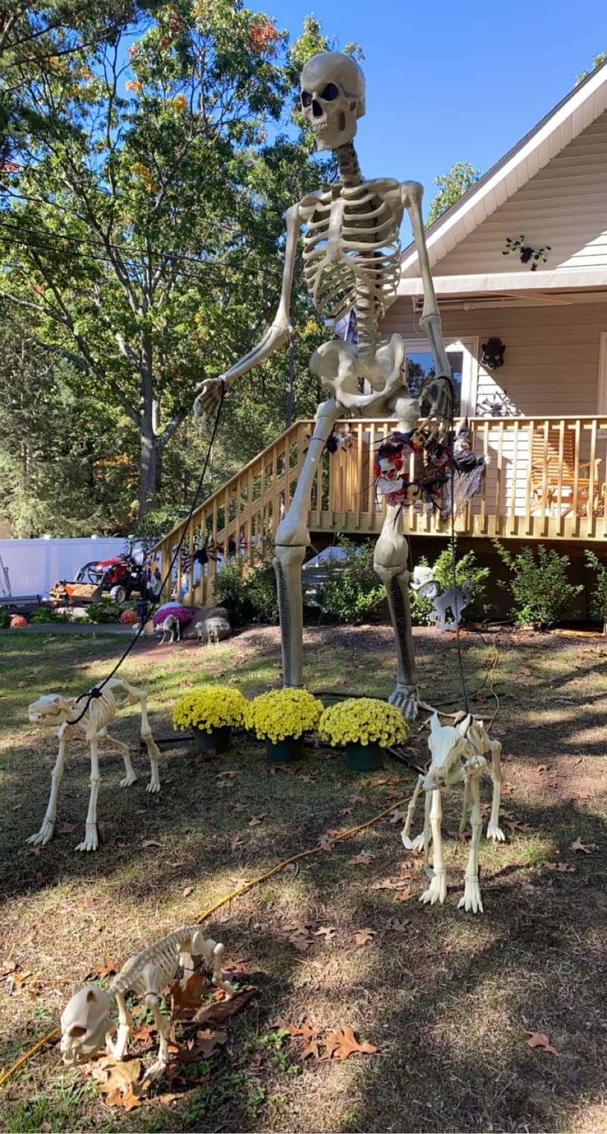Home Accents 12 ft. Giant-Sized Skeleton with LifeEyes customer photo 2