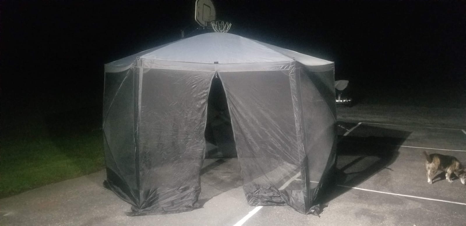 EVER ADVANCED Pop Up Gazebo Screen House Tent for Camping 11.5 ft for 8-10 Person Instant Canopy Shelter with Netting Portable for Outdoor, Backyard customer photo 1