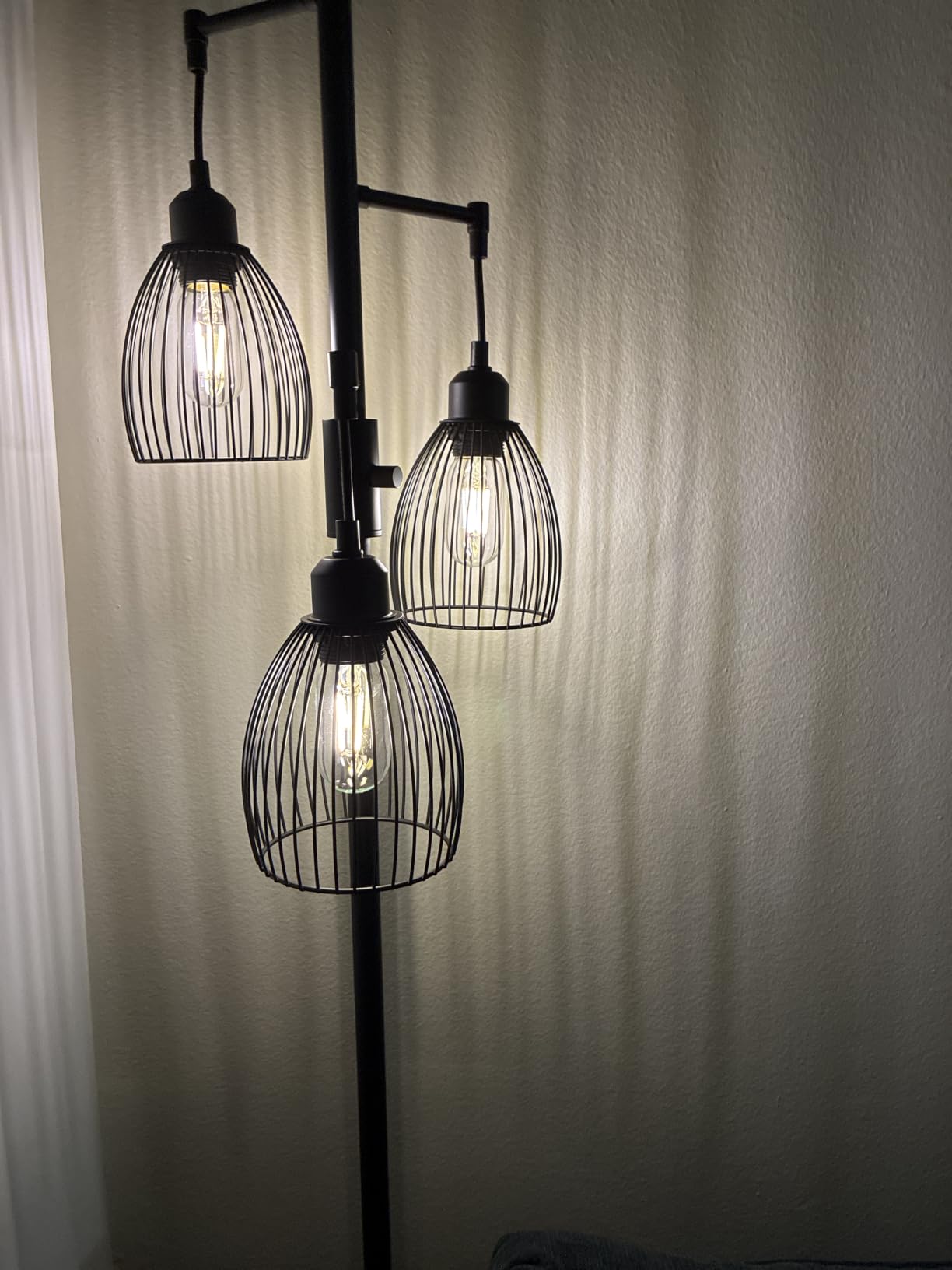 Dimmable Floor Lamp, 3 x 800LM LED Edison Bulbs Included, Farmhouse Industrial Floor Lamp Standing Tree Lamp with Elegant Teardrop Cage Tall Lamps for Living Room Bedroom Office Dining Room-Black customer photo 1