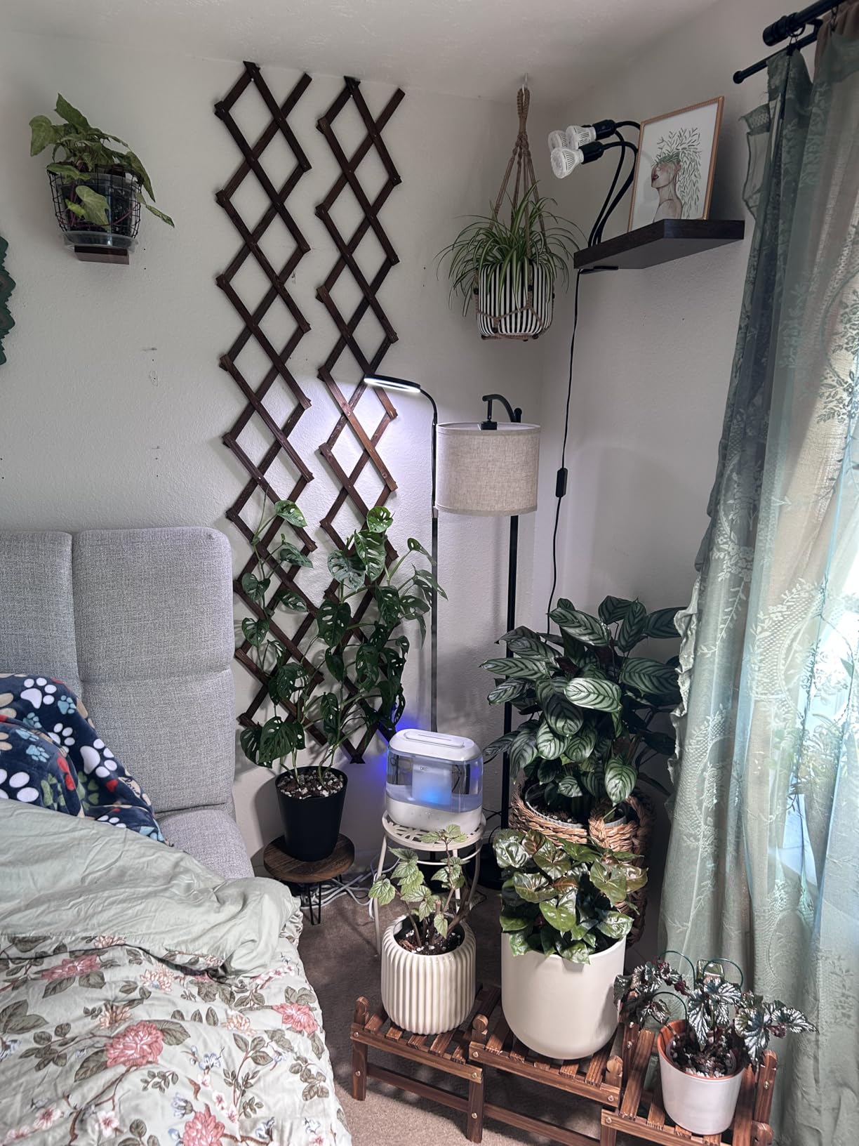 2Pcs 13x78 Expandable Wood Wall Trellis for Climbing Plants Outdoor/Indoor customer photo 1