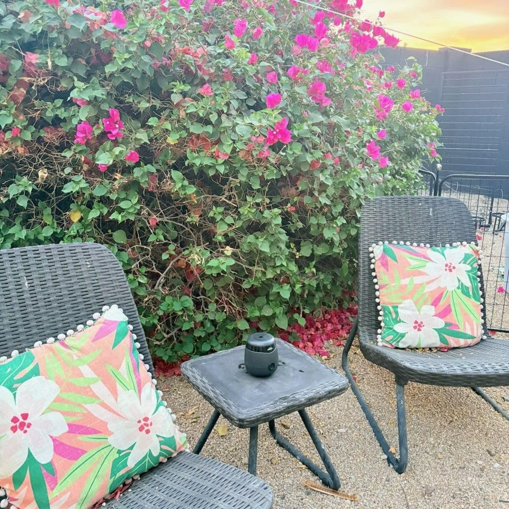 Thermacell E-ZoneGuard Patio Rechargeable Mosquito Repeller, 5.5-Hr Battery | Black; 20-FT Zone; 12-Hr Refill; Scientifically Proven Outdoor Protection; Scent Free; DEET-Free customer photo 2