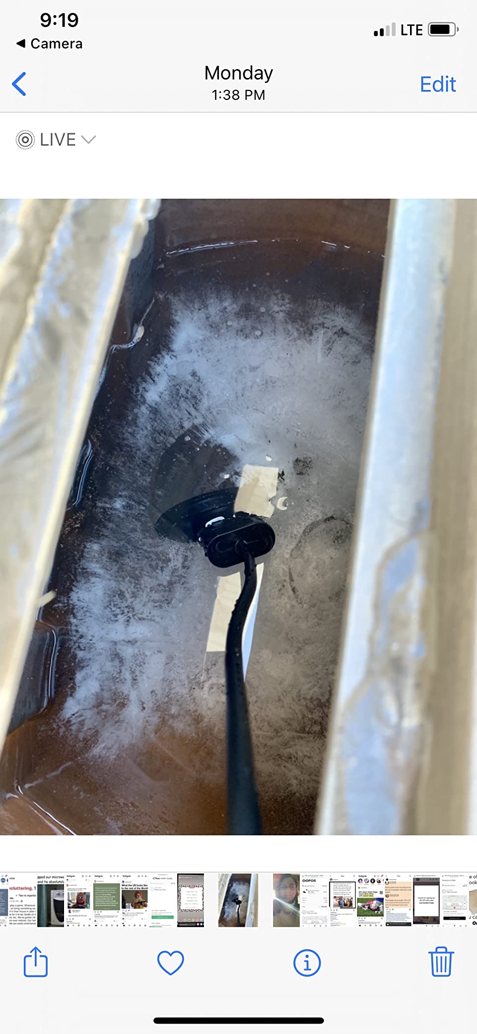 Upgraded 500-Watt Chicken Water Heater - Submergible Cast Aluminum Utility De-Icer with Black Teflon Coating for Livestock Tanks, Winter Bird Bath, and Mineral Buildup Resistance customer photo 2
