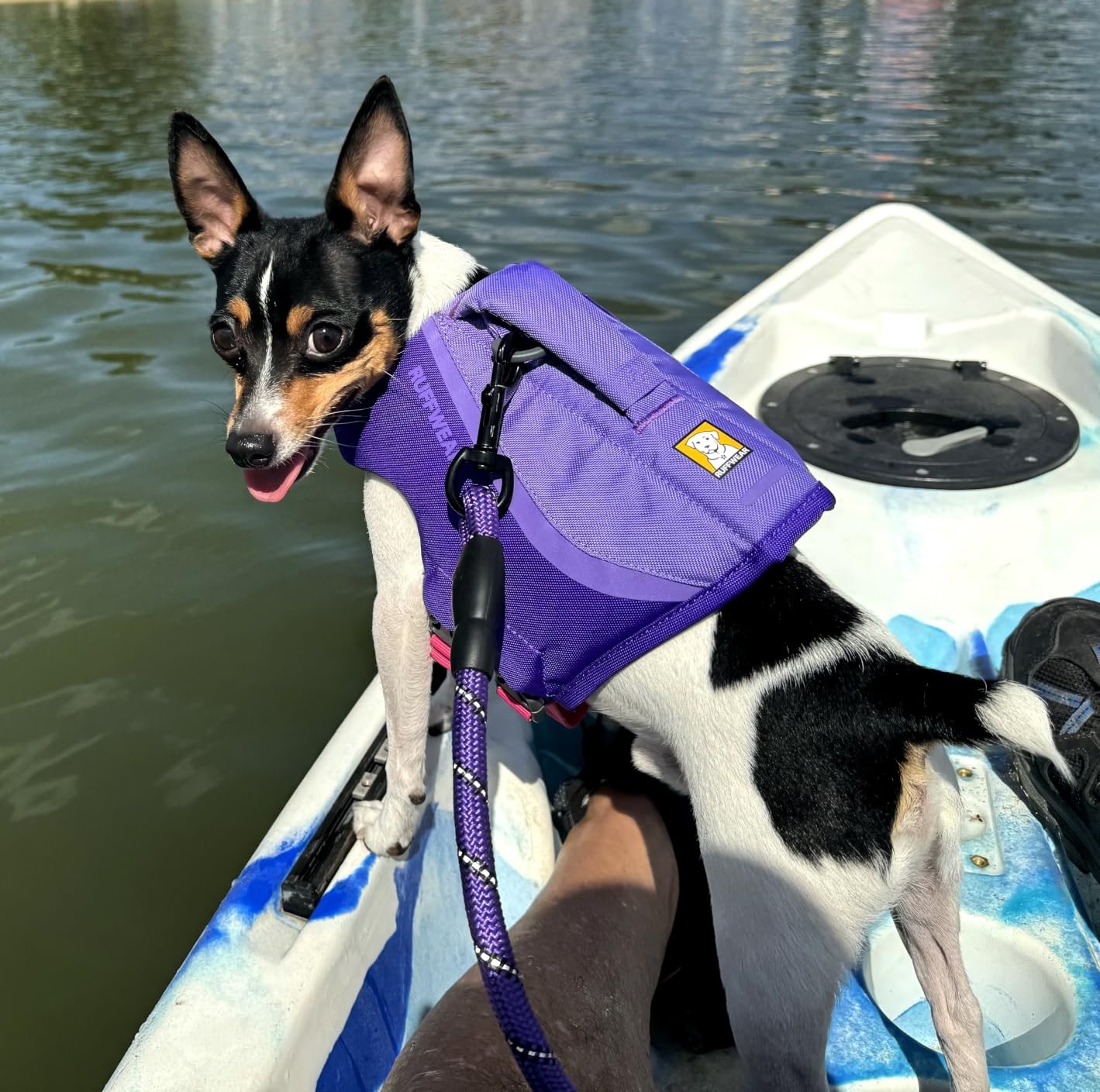 Ruffwear Float Coat Dog Life Jacket, Premium Buoyancy Swim Vest with Lift Handle, Wave Orange, Small customer photo 1