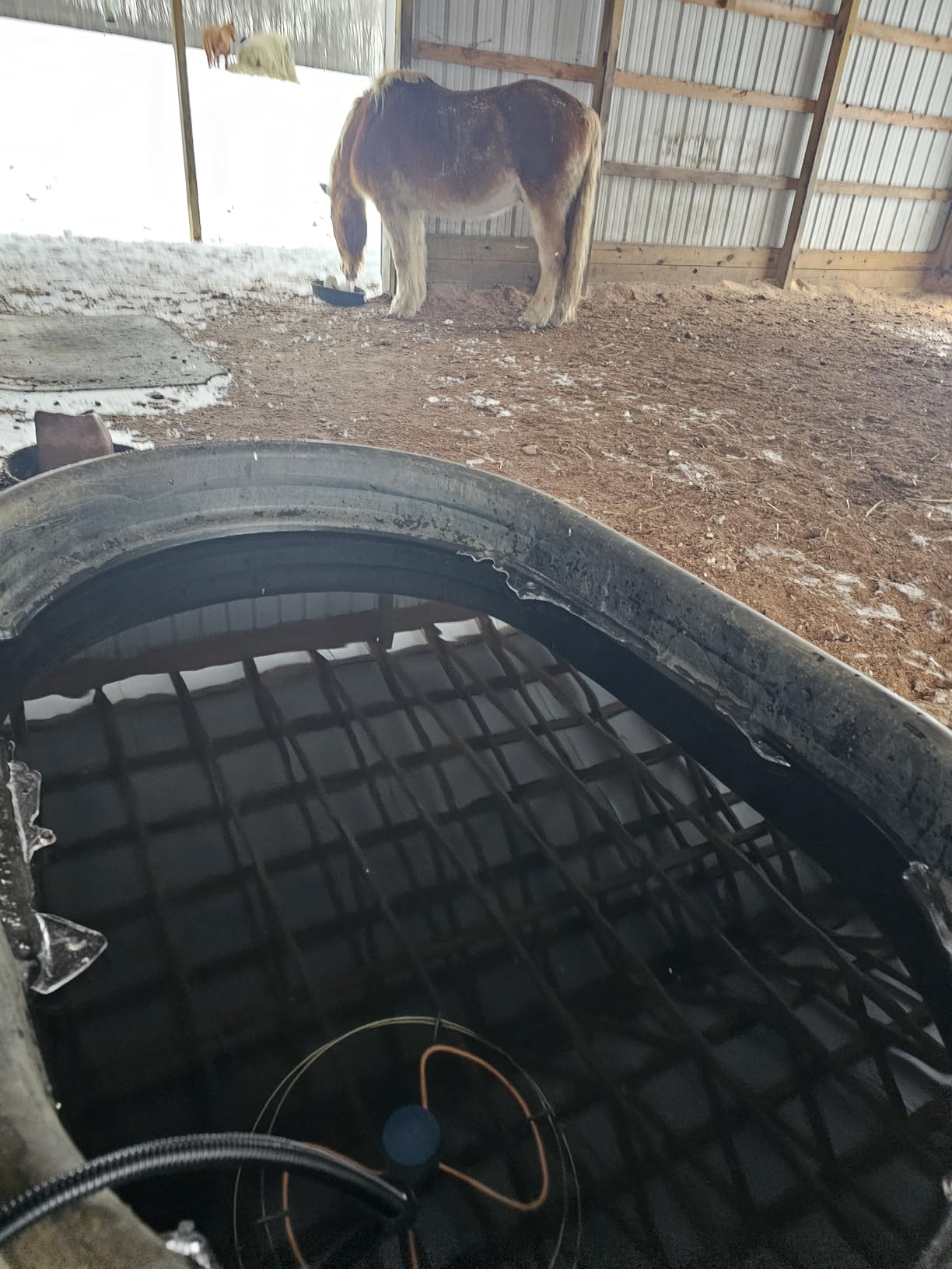 Farm Innovators 2 Pack Submergible Tank De-Icer, 1000W Water Deicer- Ice-N-Easy Design with Protective Cage for Plastic or Metal Livestock Water Stock Tank customer photo 2