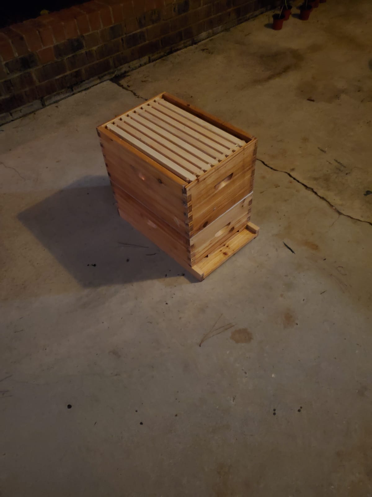 BeeCastle 8 Frame Langstroth Bee Hive Coated with Beeswax Includes Beehive Frames and Waxed Foundations (2 Deep Boxes & 1 Medium Box) customer photo 1