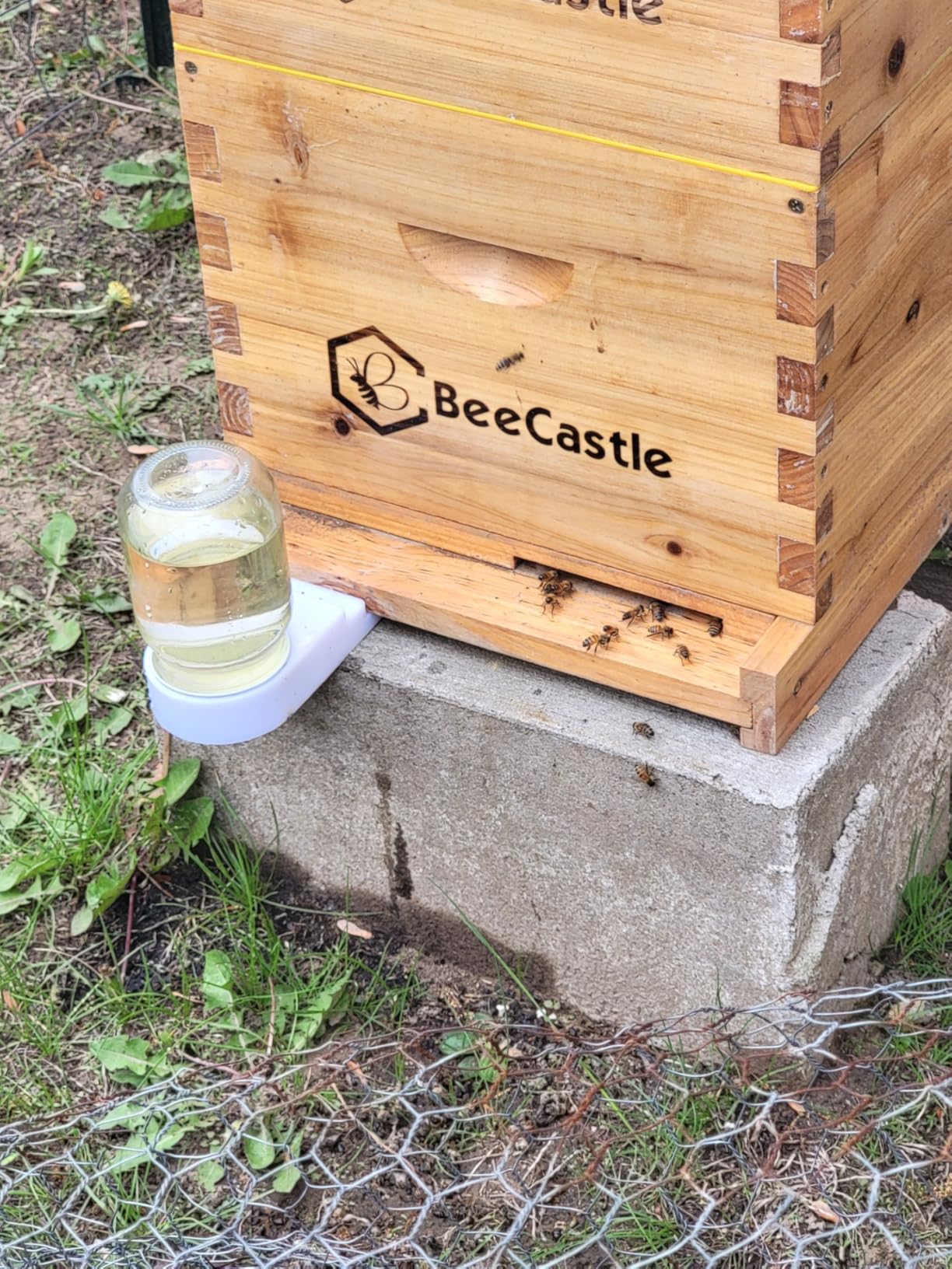 BeeCastle 8 Frame Langstroth Bee Hive Coated with Beeswax Includes Beehive Frames and Waxed Foundations (2 Deep Boxes & 1 Medium Box) customer photo 2