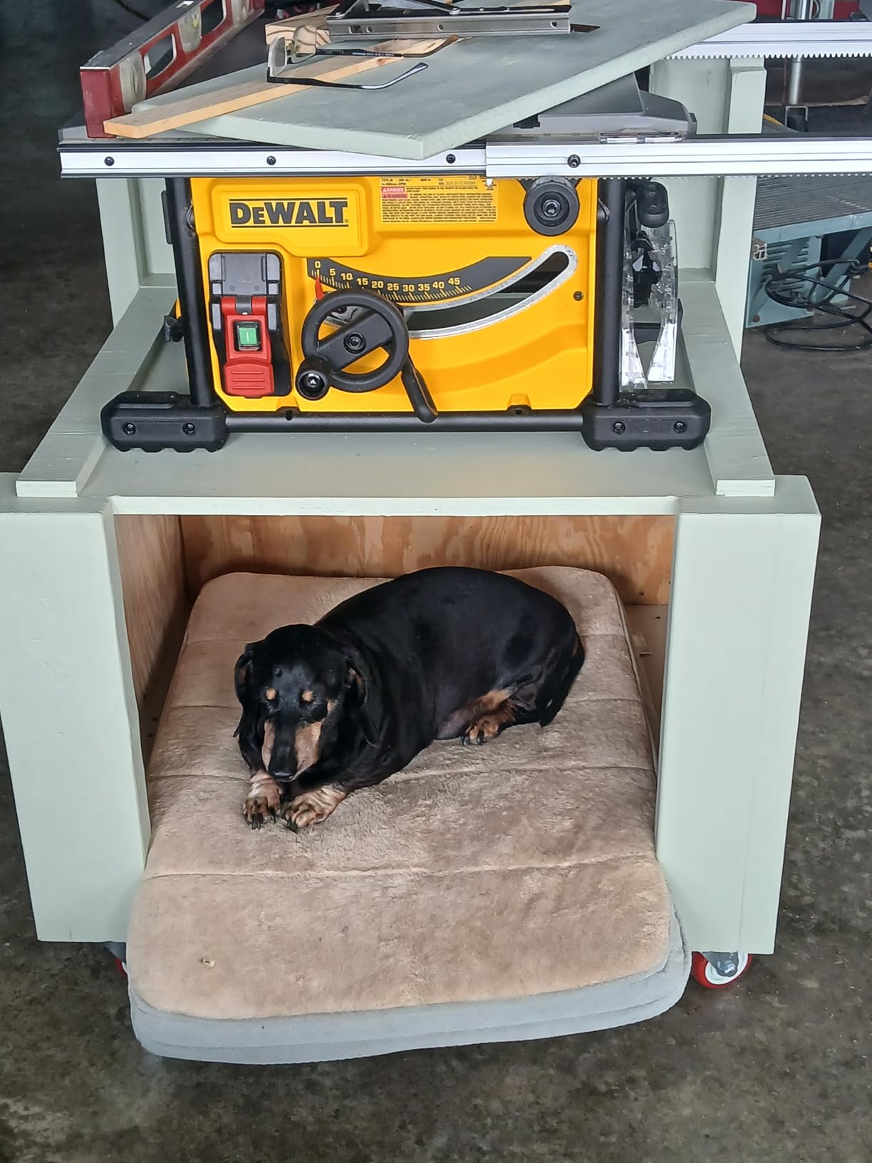 DEWALT Portable Table Saw with Stand, 8-1/4 inch, up to 48-Degree Angle Cuts (DWE7485WS) customer photo 2