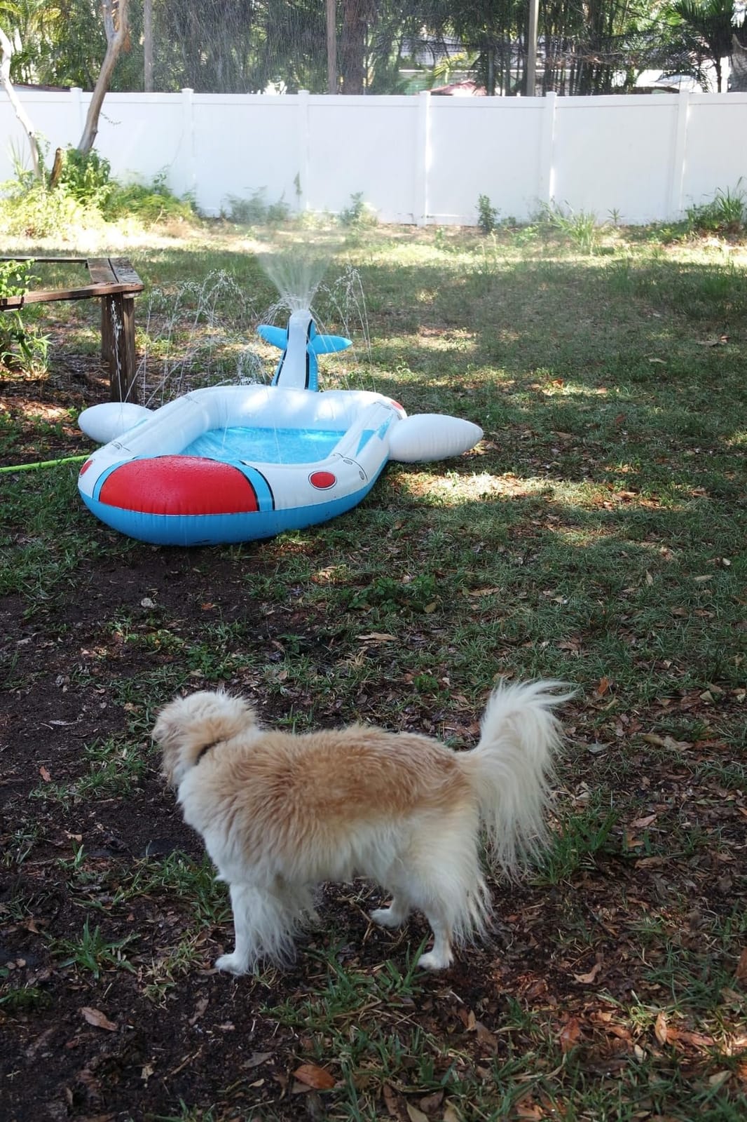 Kiddie Pool Splash Pad for Kids 68