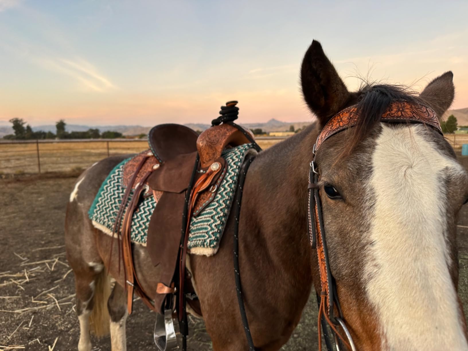 HILASON Flex Tree Western Horse Saddle in American Leather Barrel Trail | for Horses customer photo 1