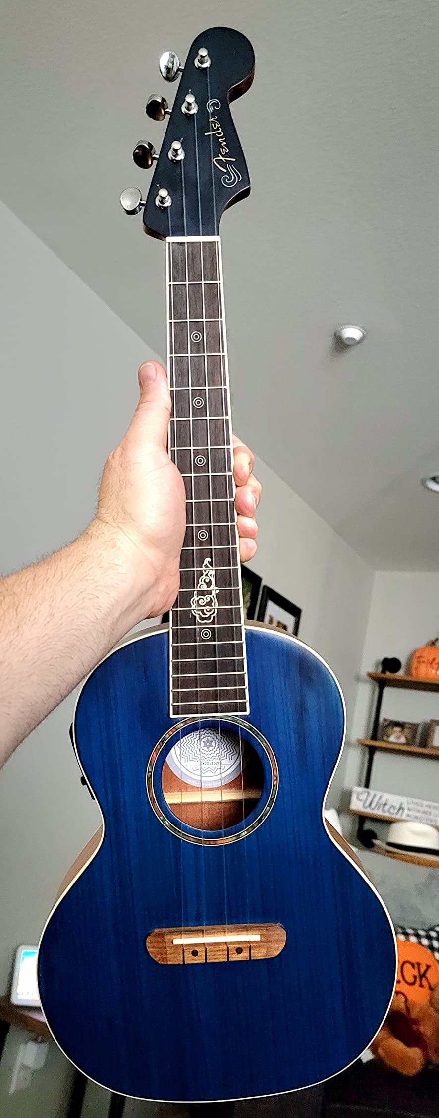 Fender Dhani Harrison Tenor Ukulele, Sapphire Blue, with Gig Bag customer photo 1