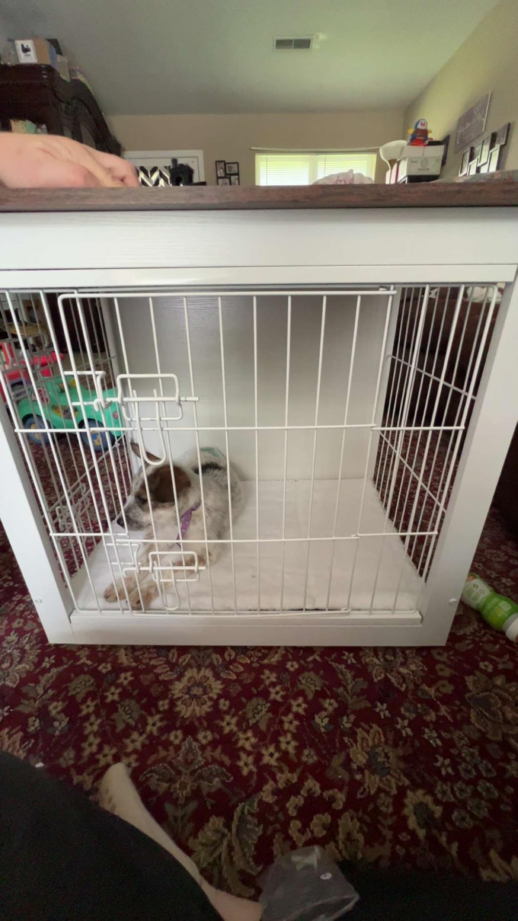 DWANTON Dog Crate Furniture with Cushion, Wooden Kennel Table with Double Doors, Indoor Dog House, Medium Size, 32.5