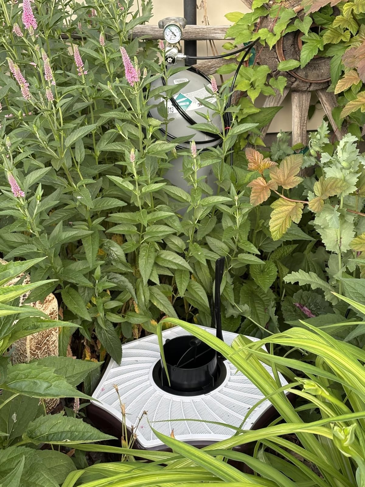 Biogents Mosquitaire Outdoor Trap with CO2 Booster for Biting Mosquitoes | Insecticide-free and effective against all mosquitoes, Sweetscent lure & CO2 Booster Kit included, CO2 tank not included customer photo 1