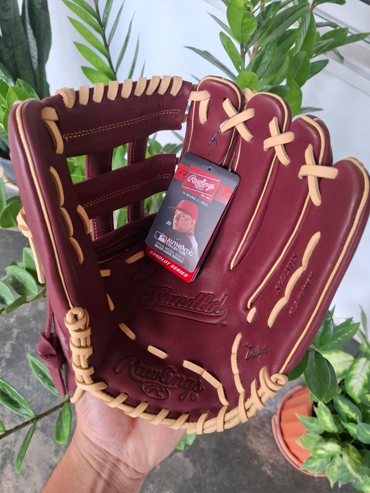 Rawlings | Sandlot Baseball Glove | Sizes 11.5