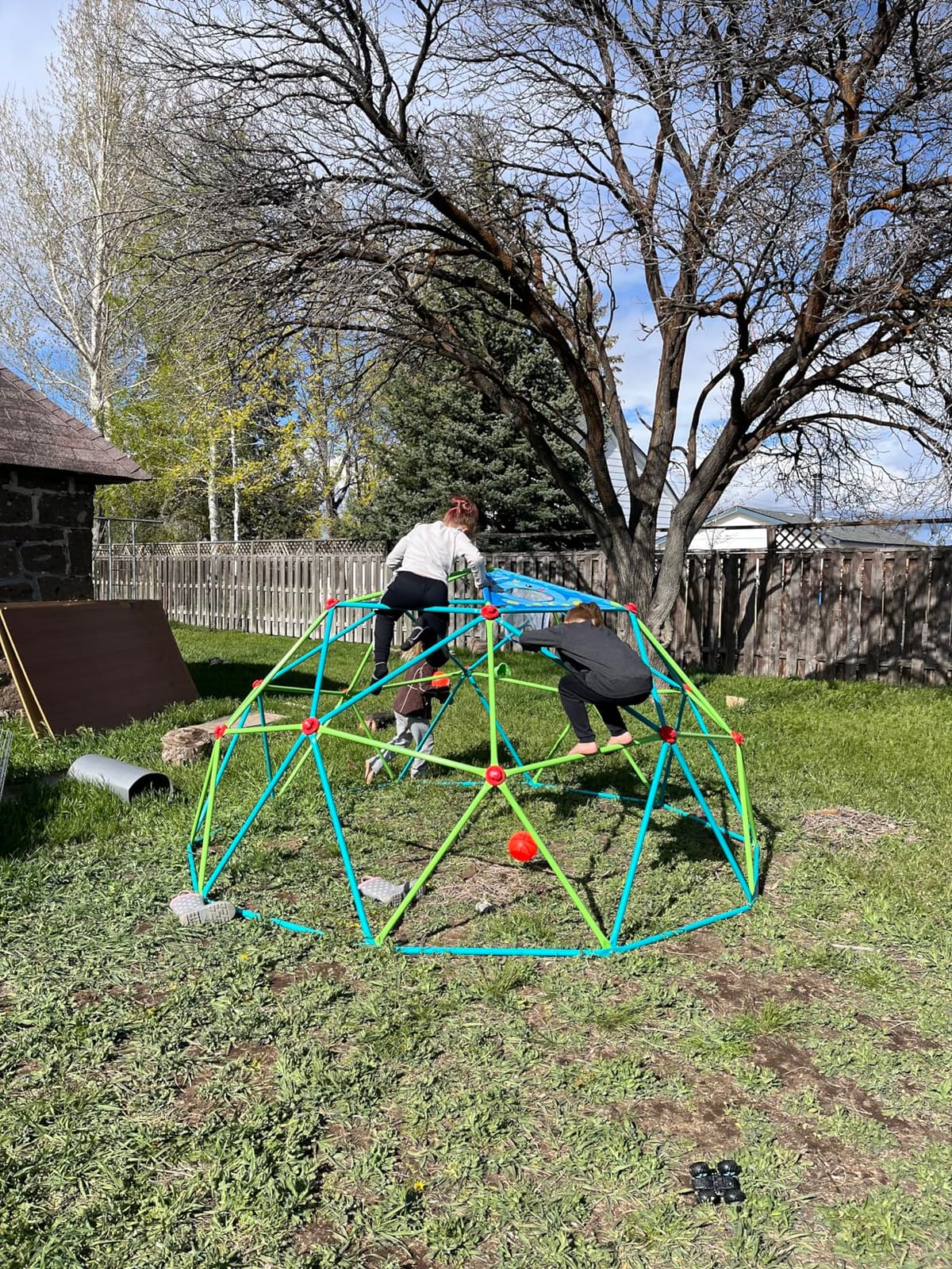 Zupapa 10FT Climbing Dome, Outdoor Jungle Gym for Kids with Climbing Grip - Geometric Dome Climber Supports 1000LBS Outdoor Playset and Easy Assembly Outdoor Play Equipment (Turquoise, 10FT) customer photo 2