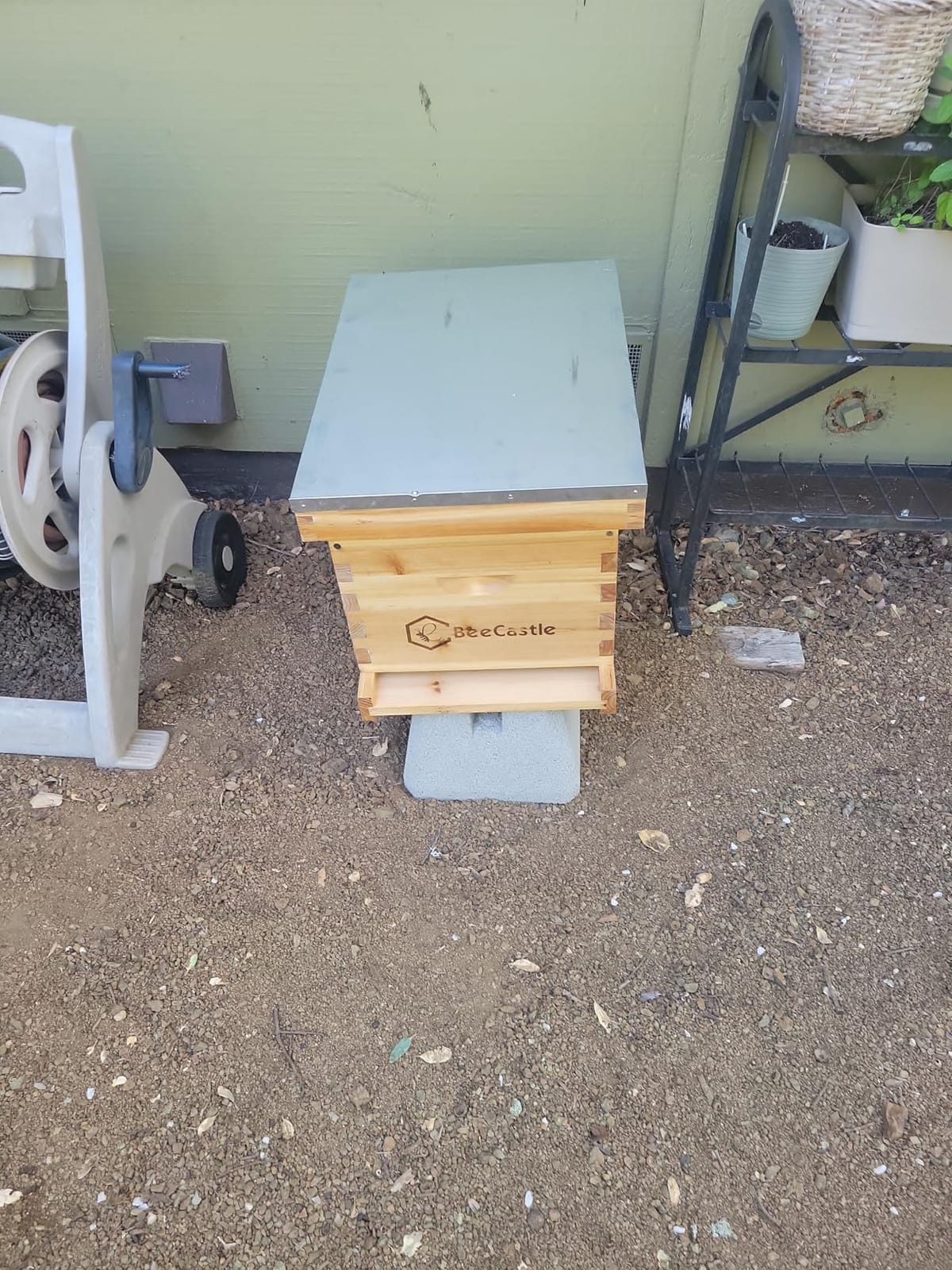 BeeCastle 8-Frame Bee Hives and Supplies Starter Kit, Beehive Kit Dipped in Beeswax, Bee Keeping Supplies-All Beginners Kit Includes Beekeeping Supplies Tool Set and Bee Suit customer photo 2