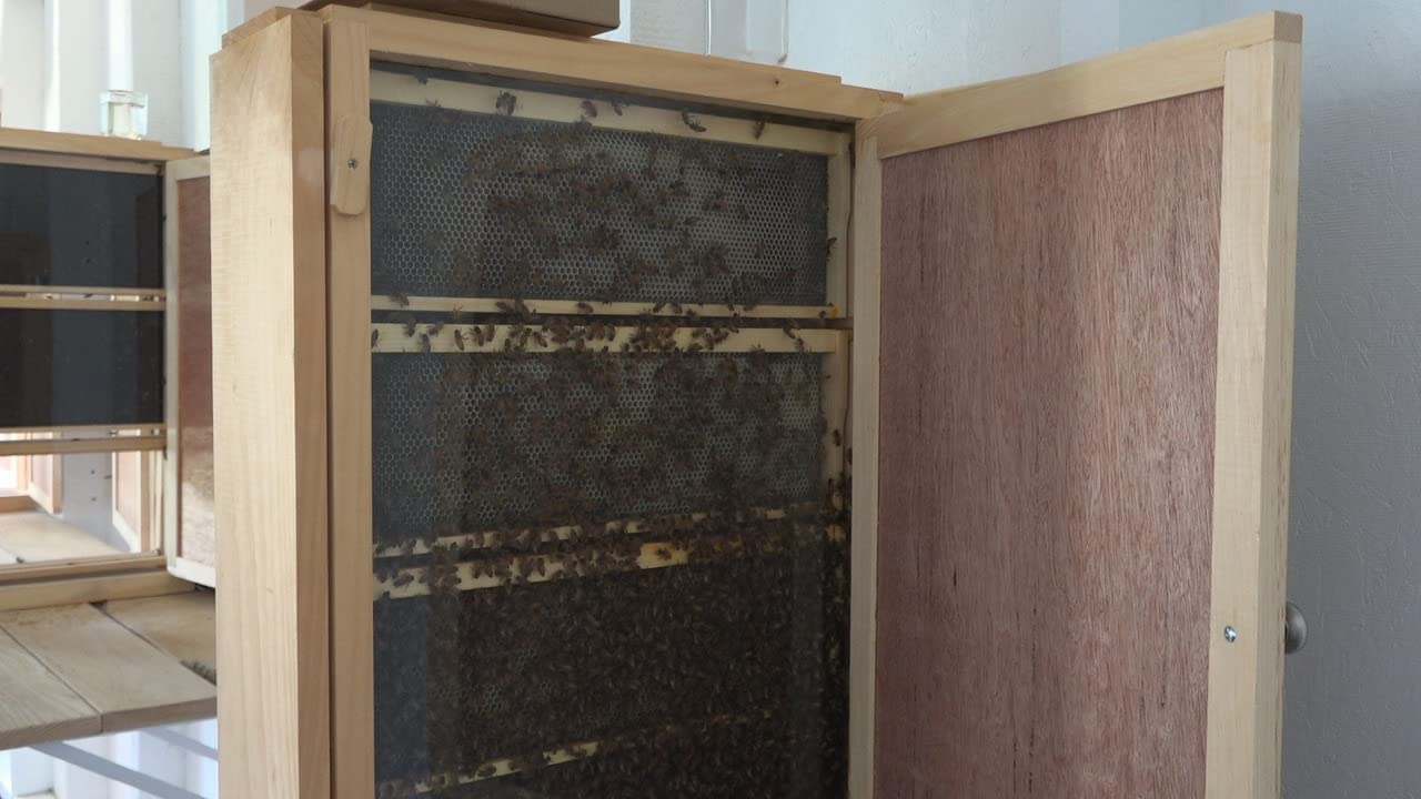 Little Larue Observation Bee Hive (Holds 9 Deep Frames) with Double-Side Plexi Glass Doors Fully Assembled Frames NOT Included Made in USA customer photo 2