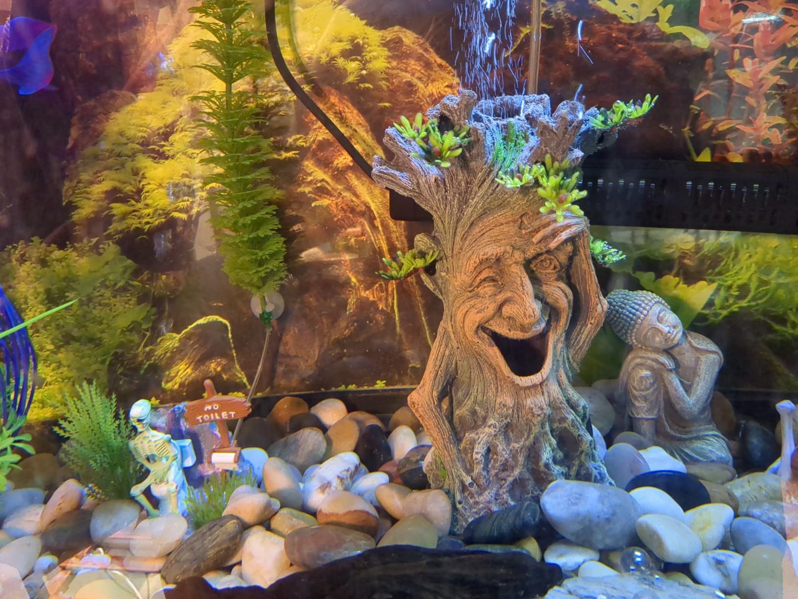 Fhiny Hollow Tree Trunk Fish Tank Decorations, Resin Aquarium Landscaping Terrarium Accessories Betta Hideout Caves Aquarium Decor for Fish Betta Shrimps Cichlids Reptiles Amphibians customer photo 2