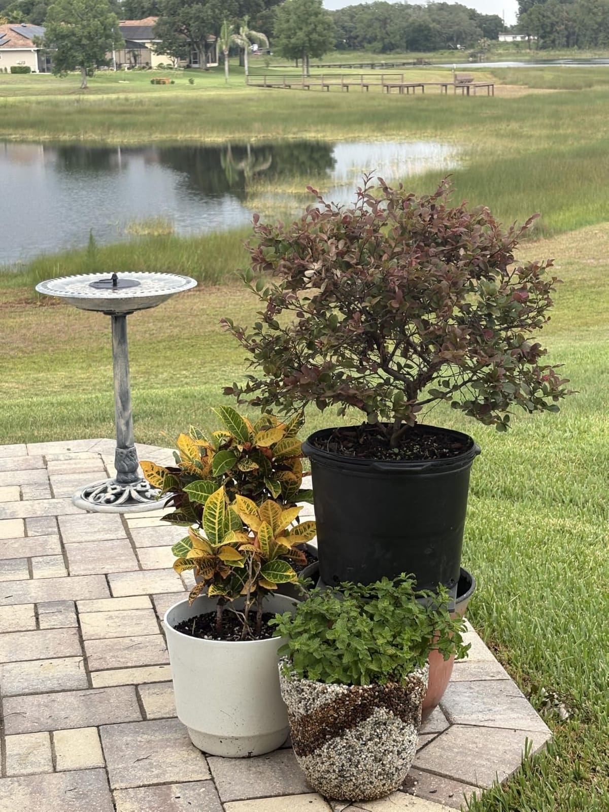 VIVOHOME Bird Bath with Solar Fountain for Outside, Pedestal, Blue | Solar-Powered Pump, Weather-Resistant Polyresin, 20-Inch Bowl, for Outdoor/Garden, Bird-Friendly, Easy to Clean customer photo 1