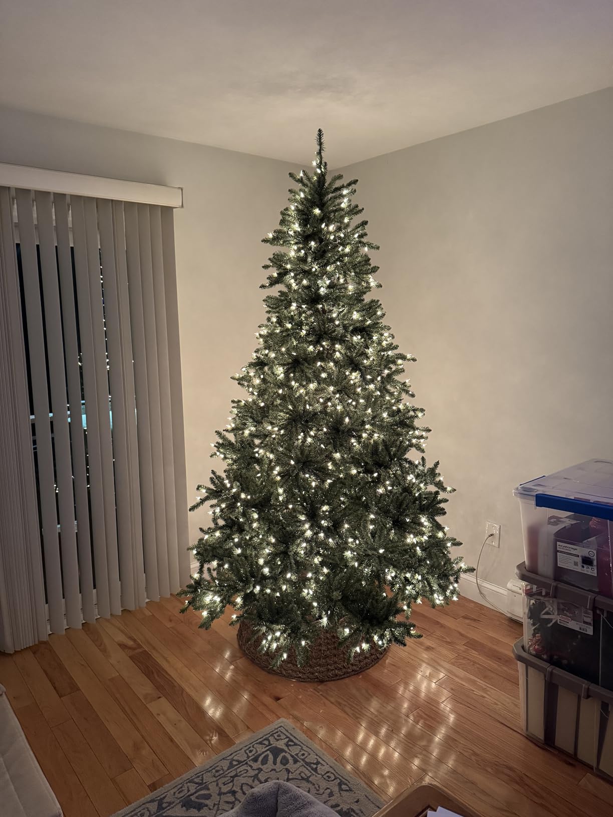 Balsam Hill 9ft Pre-Lit Classic Blue Spruce - Artificial Christmas Tree with 1500 Clear Incandescent Lights, Easy Plug Technology, Premium Stand for Indoor Holiday Decorating customer photo 2