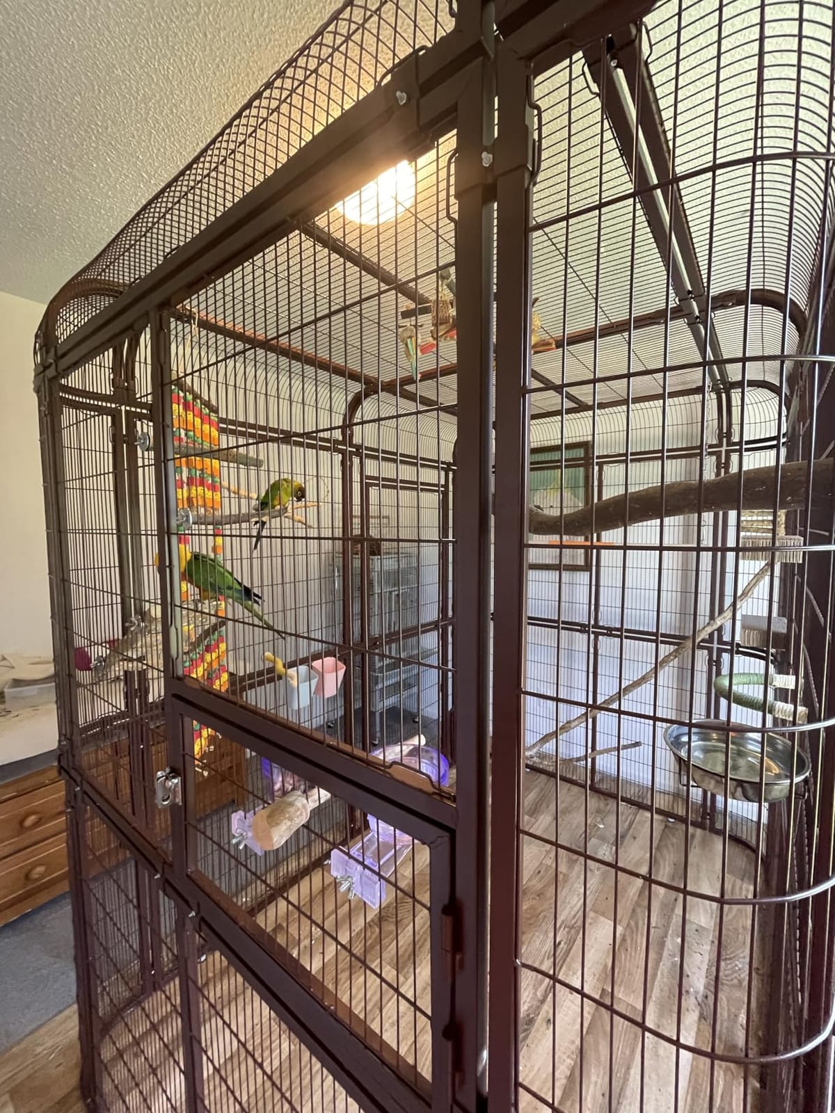 wonline Parrot Cages for Large Birds Outdoor Extra Large Bird Cage with Bird Cage and Perch, Suitable for Macaws Canaries Parrots Budgie Lovebirds customer photo 1