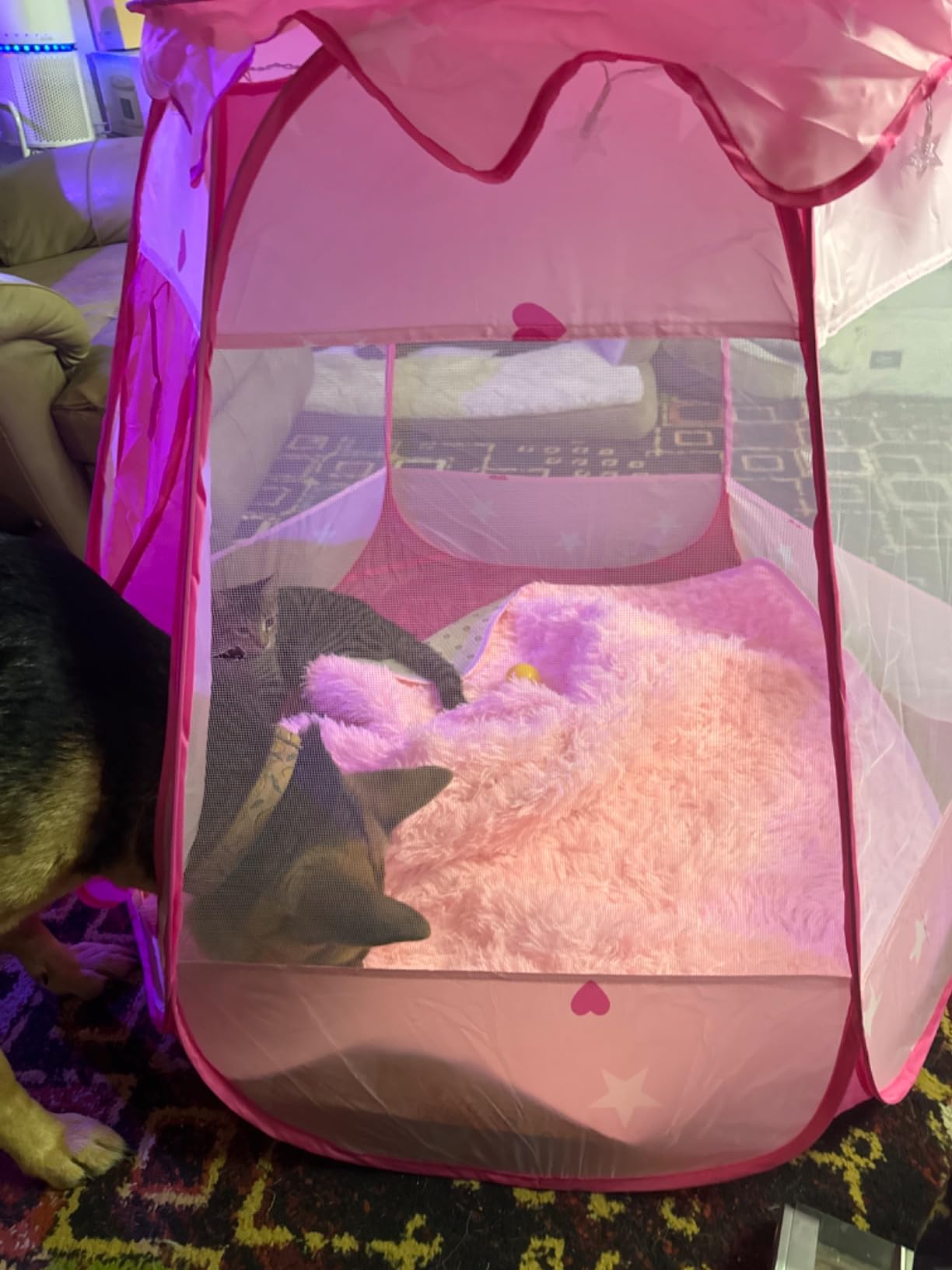 DISHIO Ball Pits with 50 Balls, Pop up Tents for Kids with Star Lights | Ball Pit for Toddlers, Princess Tent Toy for yrs Baby Birthday Gifts for Girls, Easy to Assemble Storage (50 Balls Included) customer photo 2