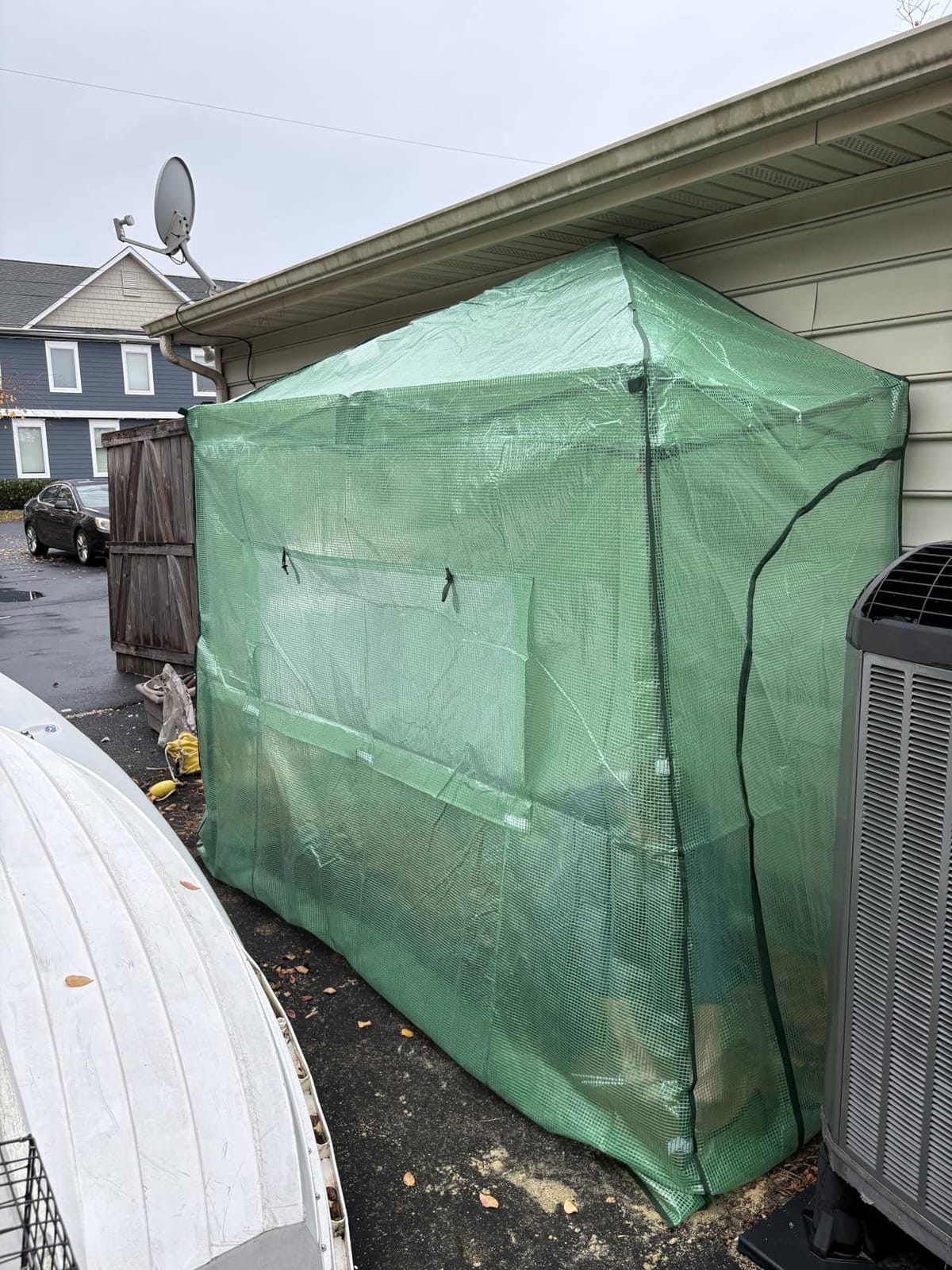 EAGLE PEAK 10x5 Easy Setup Pop Up Greenhouse, Lean-to Design, Clear/Green | Walk-In Greenhouses for Outdoors, Green House for Winter Protection, Roll-Up Door & Mesh Windows, One Person Setup customer photo 1