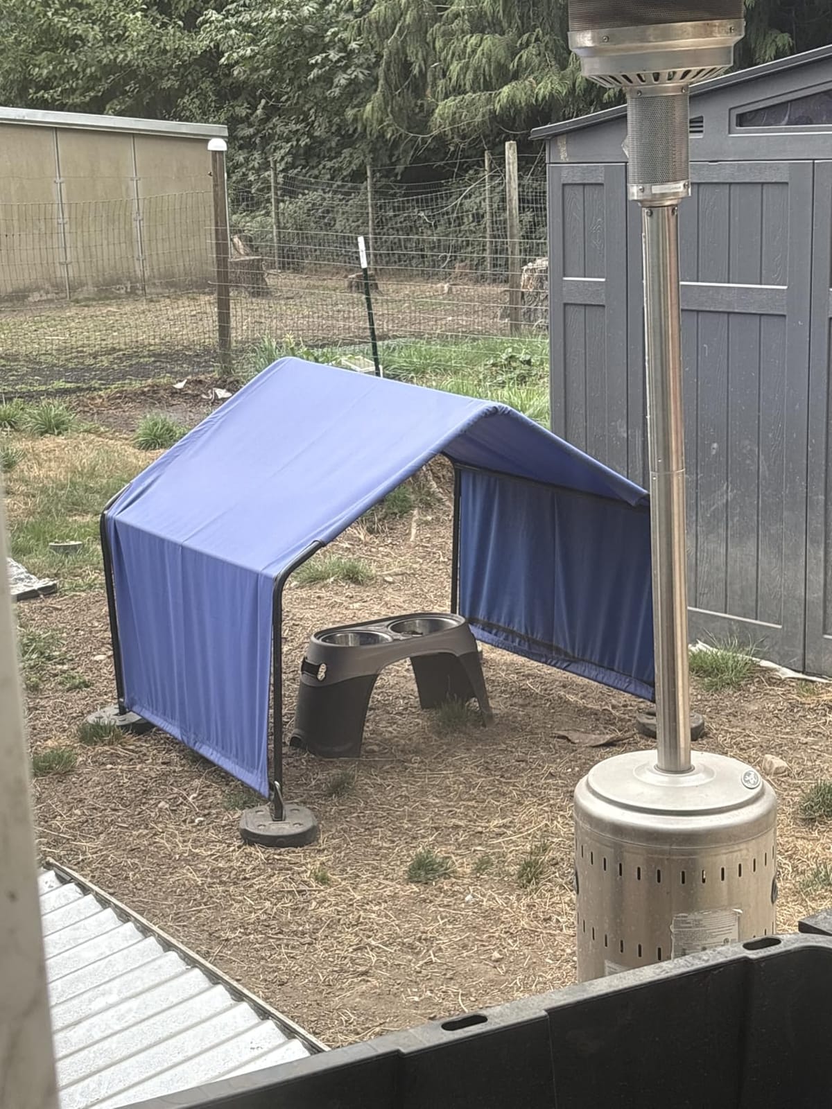 ShelterLogic 4' Outdoor Pet Shade, Versatile Pet Canopy Tent for Dogs, Cats, Small Animals and Livestock, Blue customer photo 2