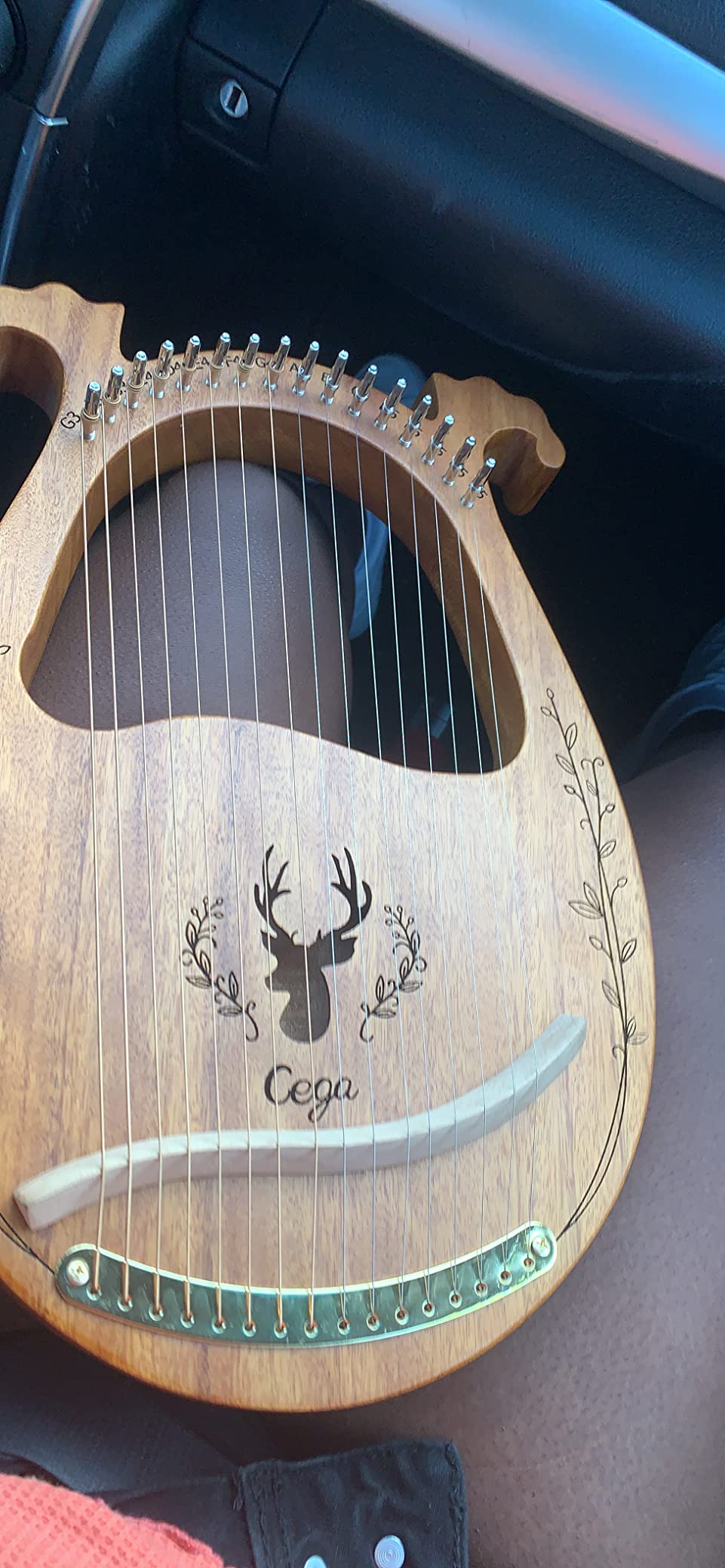 Lyre Harp, 16 Strings Mahogany Acoustic Lap Harp for Adults Beginners | Extra Strings, Picks, Tuning Lever, Black Gig Bag, Beginner's Manual customer photo 2