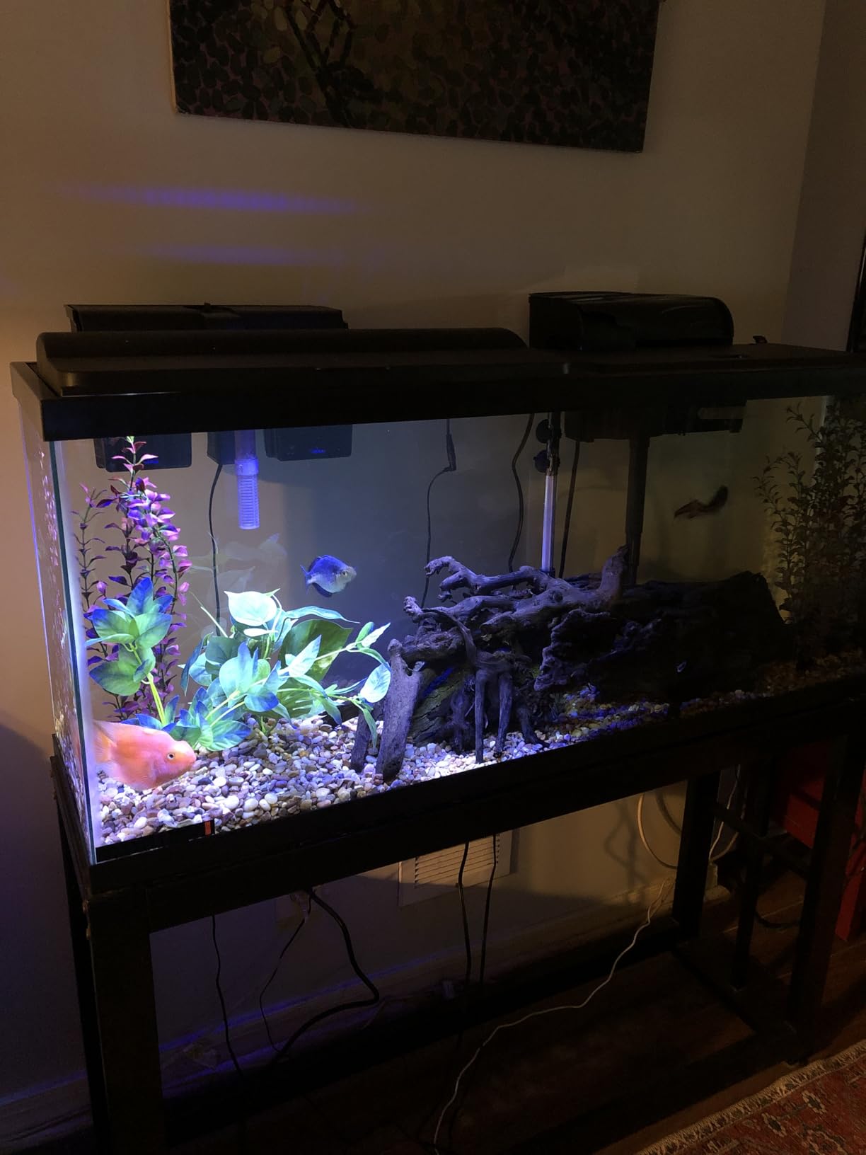 Tetra Complete LED Aquarium 55 Gallons, Includes LED Lighting, Filtration, Heater and Accessories customer photo 1