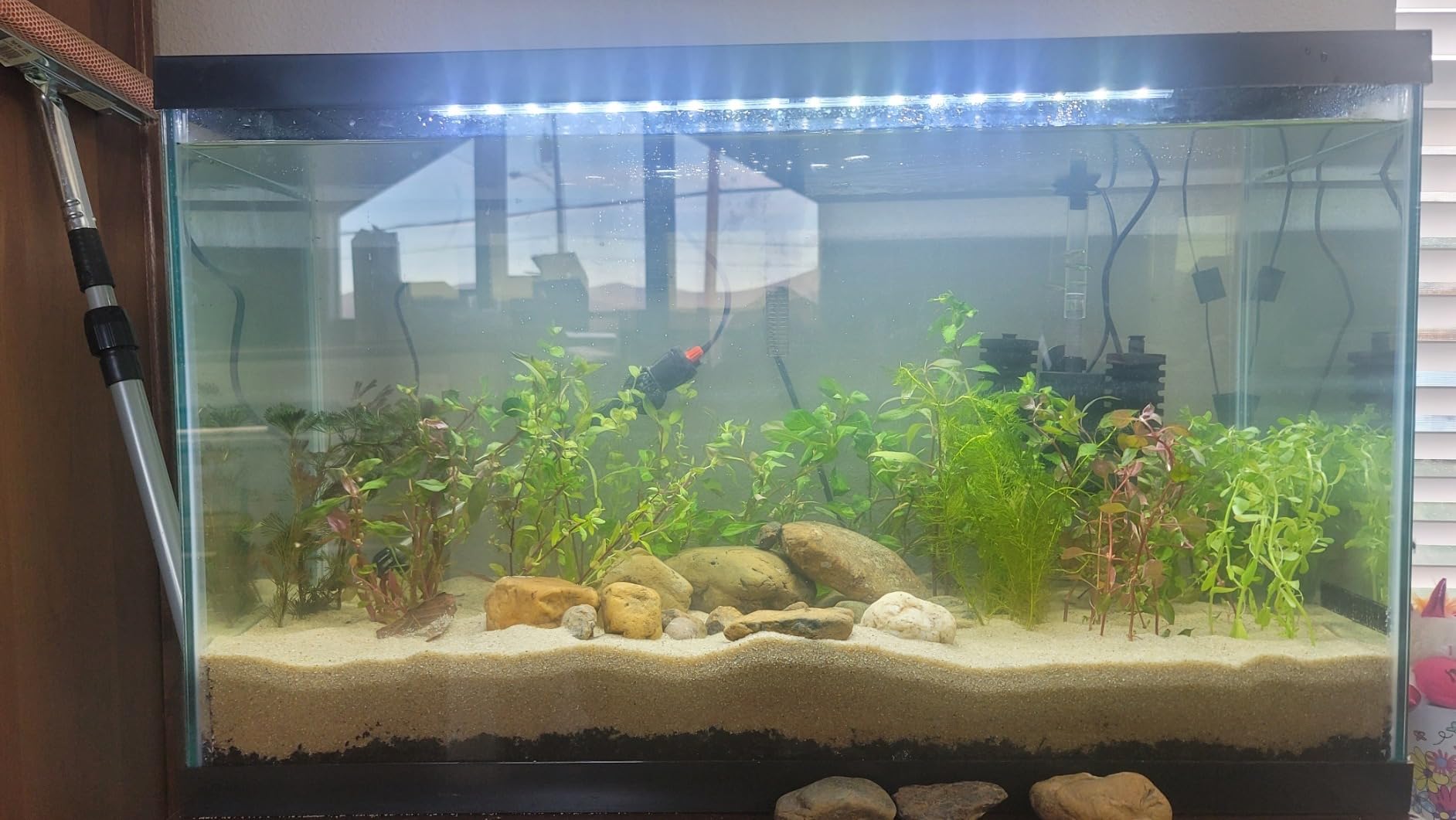 Tetra Complete LED Aquarium 29 Gallons, Includes LED Lighting, Filtration, Heater and Accessories customer photo 1