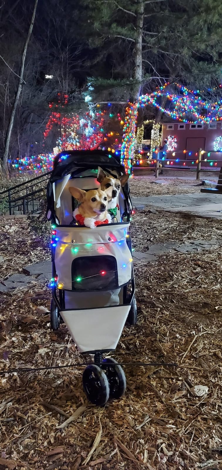 Carlson Pet Products Stroller, Includes 360 Degree Front Wheel Swivel, Rear Wheel Breaks, Reflective Trim, Mesh Panels, Umbrella and Mesh Canopy, Khaki customer photo 1