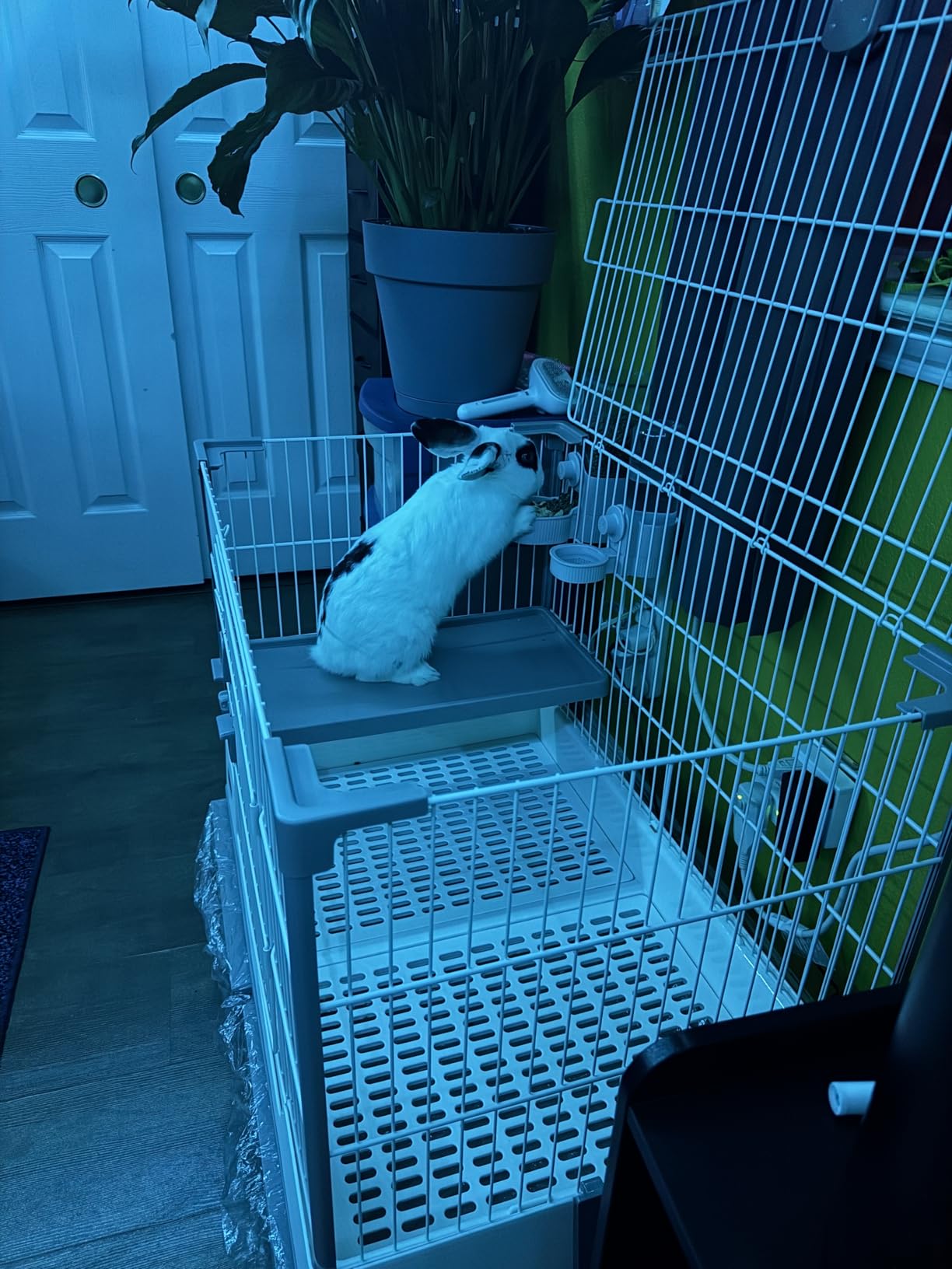 Deluxe Rabbit Cage, 32