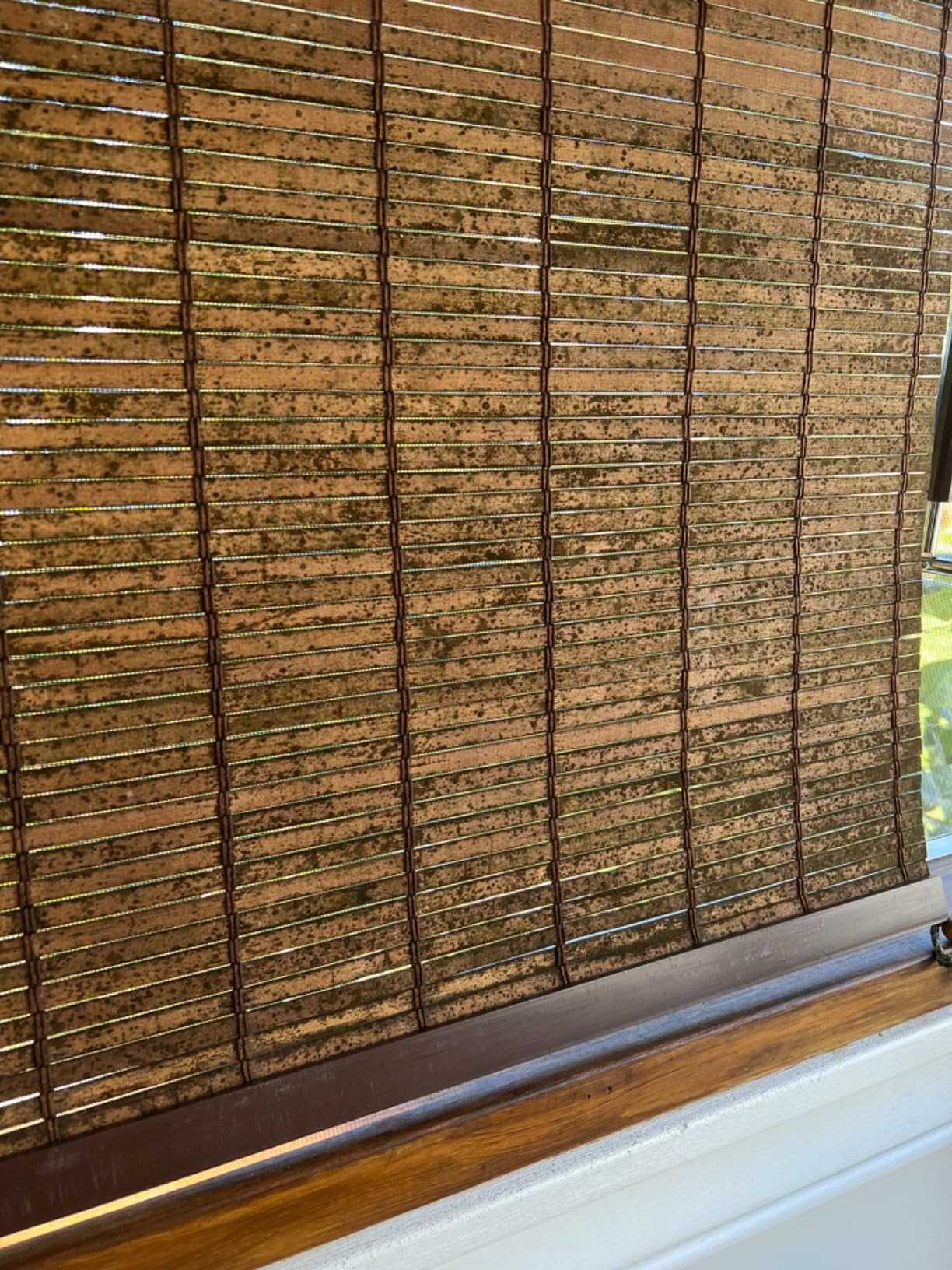 Coolaroo Wand Operated Outdoor Roller Shade - Cordless Sun Blocking Window Blind for Patio, Deck, or Sunroom - Fade Resistant, Smooth Wand Operation, Kid-Safe, Hardware Included, 4' x 6', Teak customer photo 2