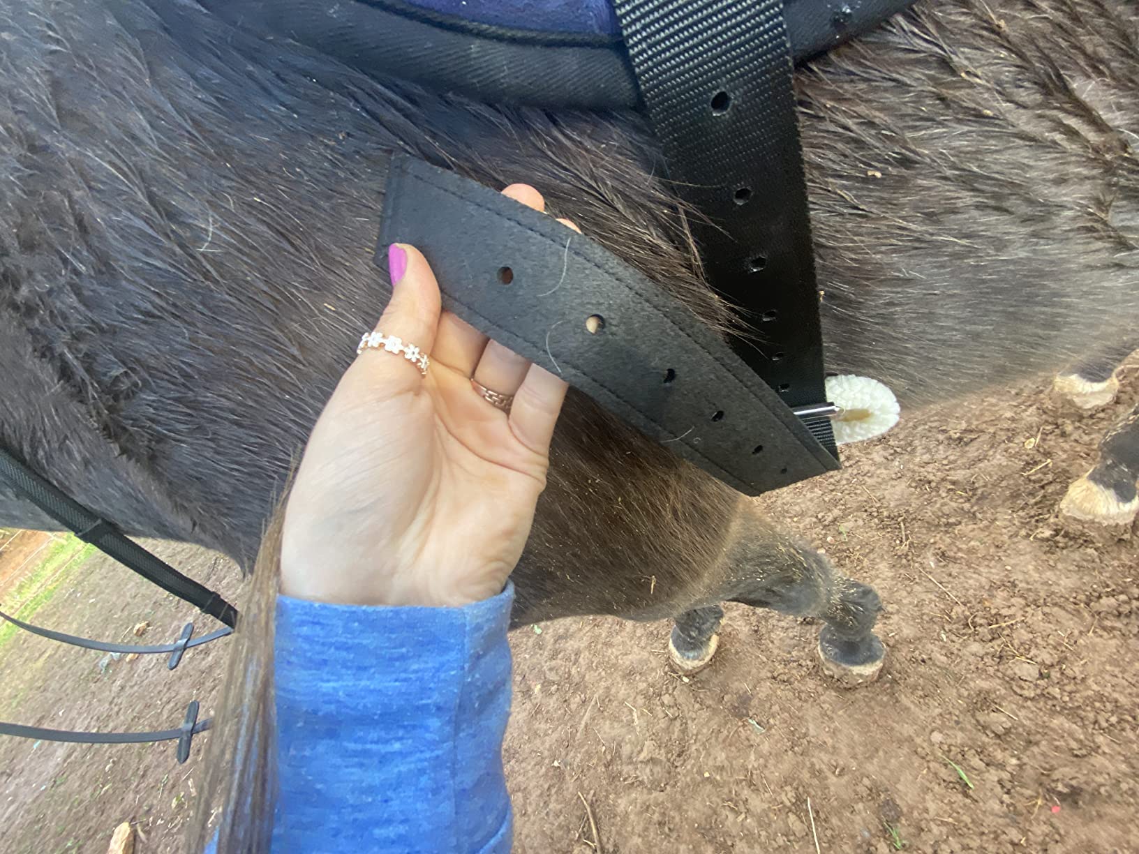 Harrison Howard Equestrian Saddle Pad Horse Riding Pad Bareback Pad with Girth customer photo 1