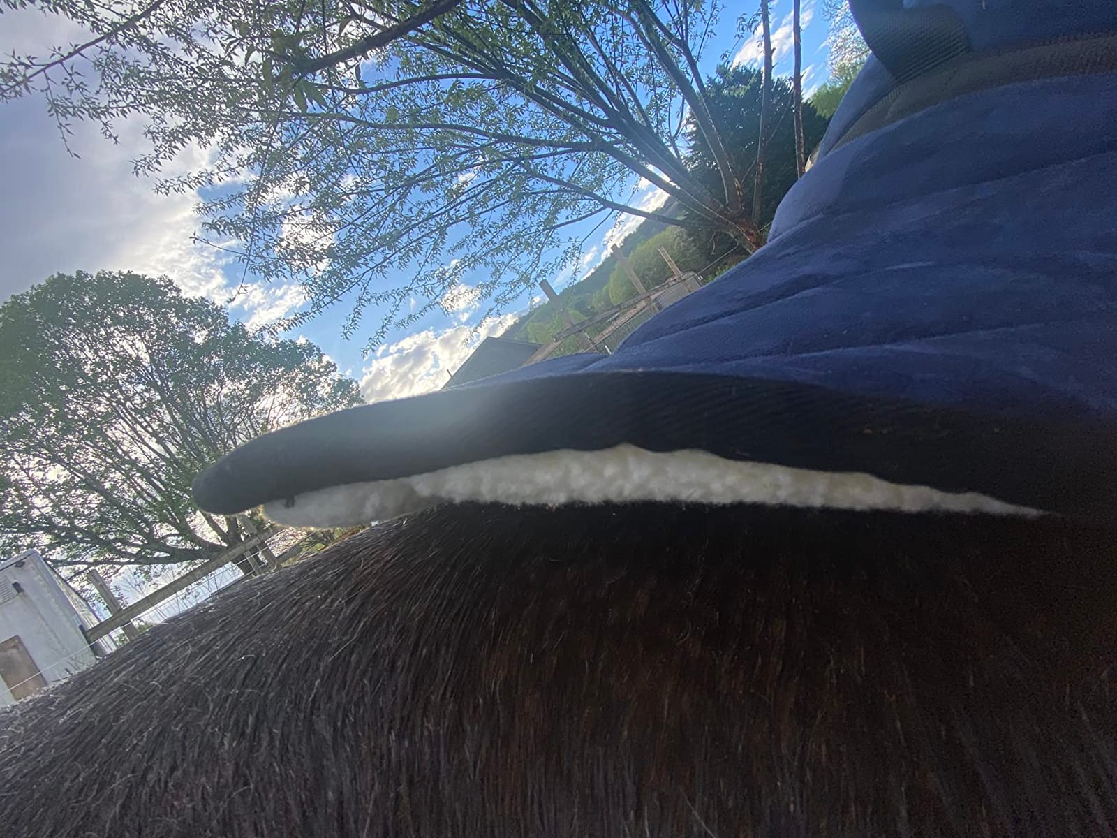 Harrison Howard Equestrian Saddle Pad Horse Riding Pad Bareback Pad with Girth customer photo 2