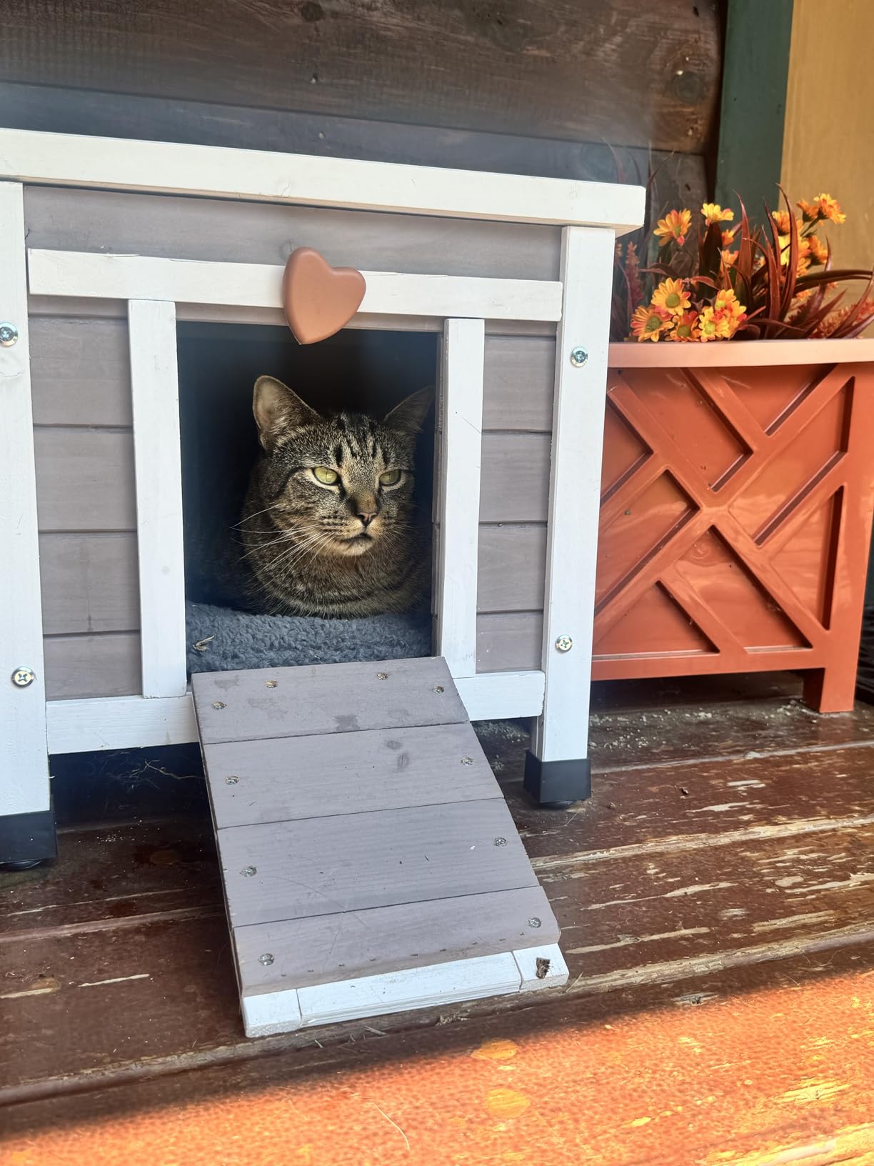 Rockever Outdoor Cat House, Rabbit Hutch Outdoor Indoor Bunny Cage | Waterproof Cat Houses For Outdoor Cats, Wooden Small Pet House And Habitats, Openable Roof customer photo 2