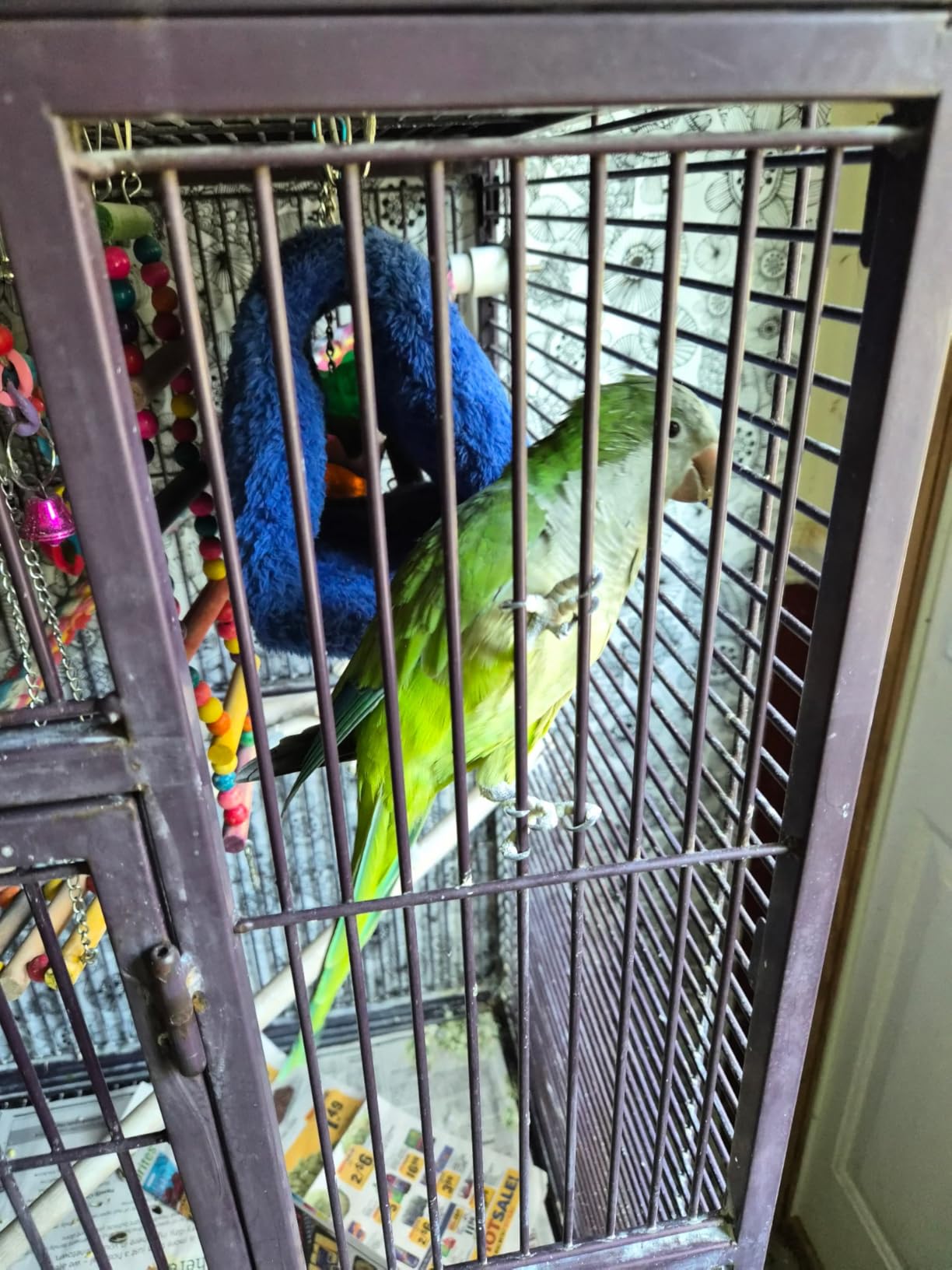 82 Inch Bird Cage, BOINN Bird Flight Cages with Rolling Stand & Bottom Tray, Wrought Iron Parrot Cage with PlayTop customer photo 2