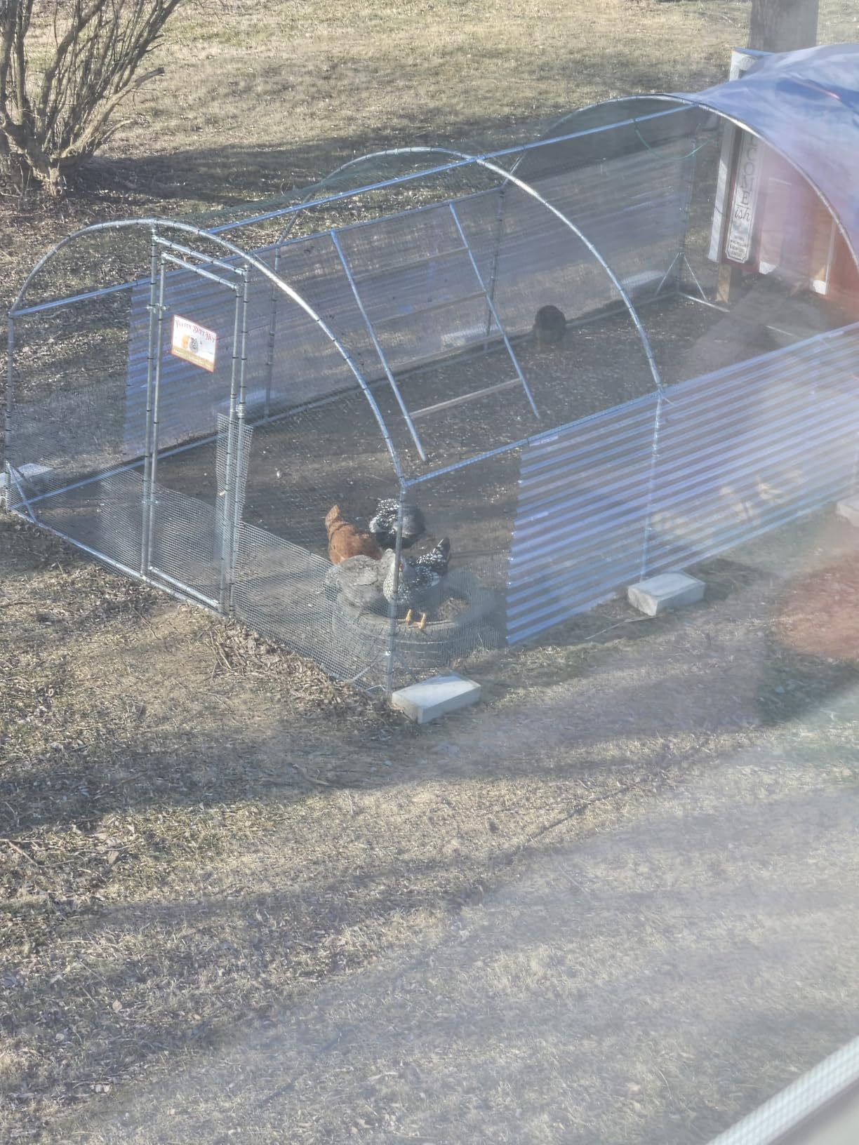 Large Metal Chicken Coop Round Top Upgrade Tri-Supporting Wire Mesh Chicken Run, Chicken Pen with Water-Resident and Anti-UV Cover, Duck Rabbit House Outdoor (19'L x 9'W x 6.5'H) customer photo 2