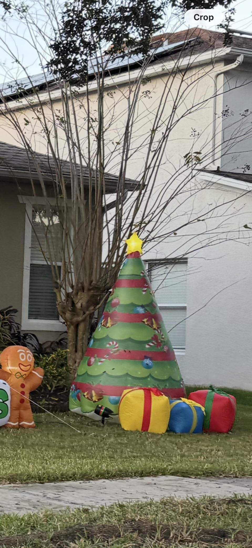 COMIN 7 FT Christmas Inflatables Tree Outdoor Decorations Blow Up Yard Present Box with Built-in LEDs for Indoor Party Garden Lawn Decor (Color-27323) customer photo 1
