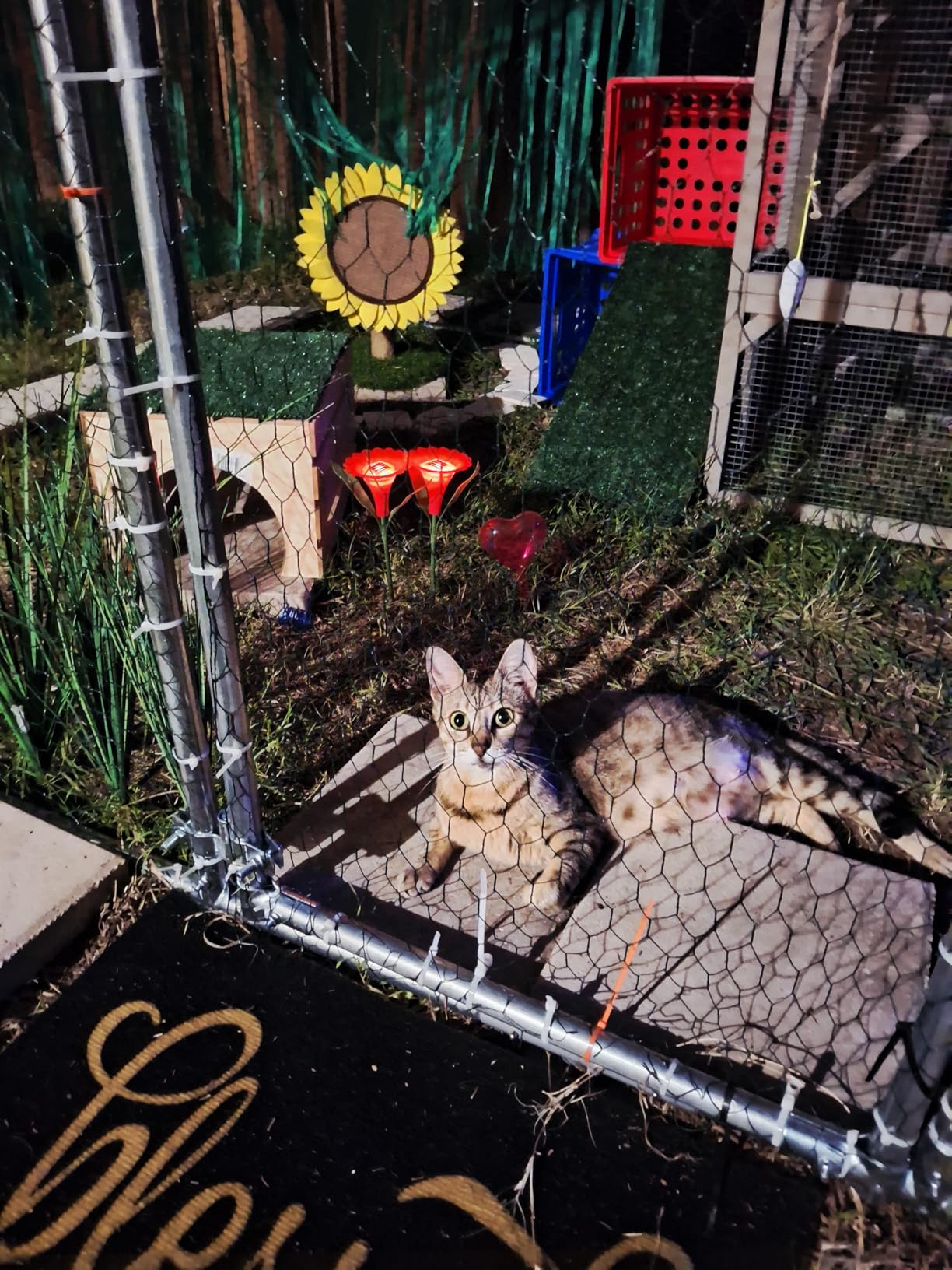 Large Metal Chicken Coop Round Top Upgrade Tri-Supporting Wire Mesh Chicken Run, Chicken Pen with Water-Resistant and Anti-UV Cover, Duck Rabbit House Outdoor (13'L x 9'W x 6.5'H) customer photo 2